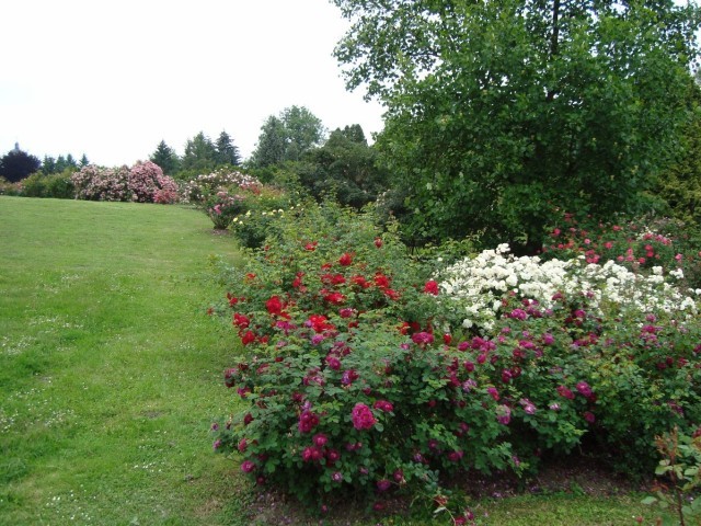 Botanická zahrada a Zahrada smyslů foto 4