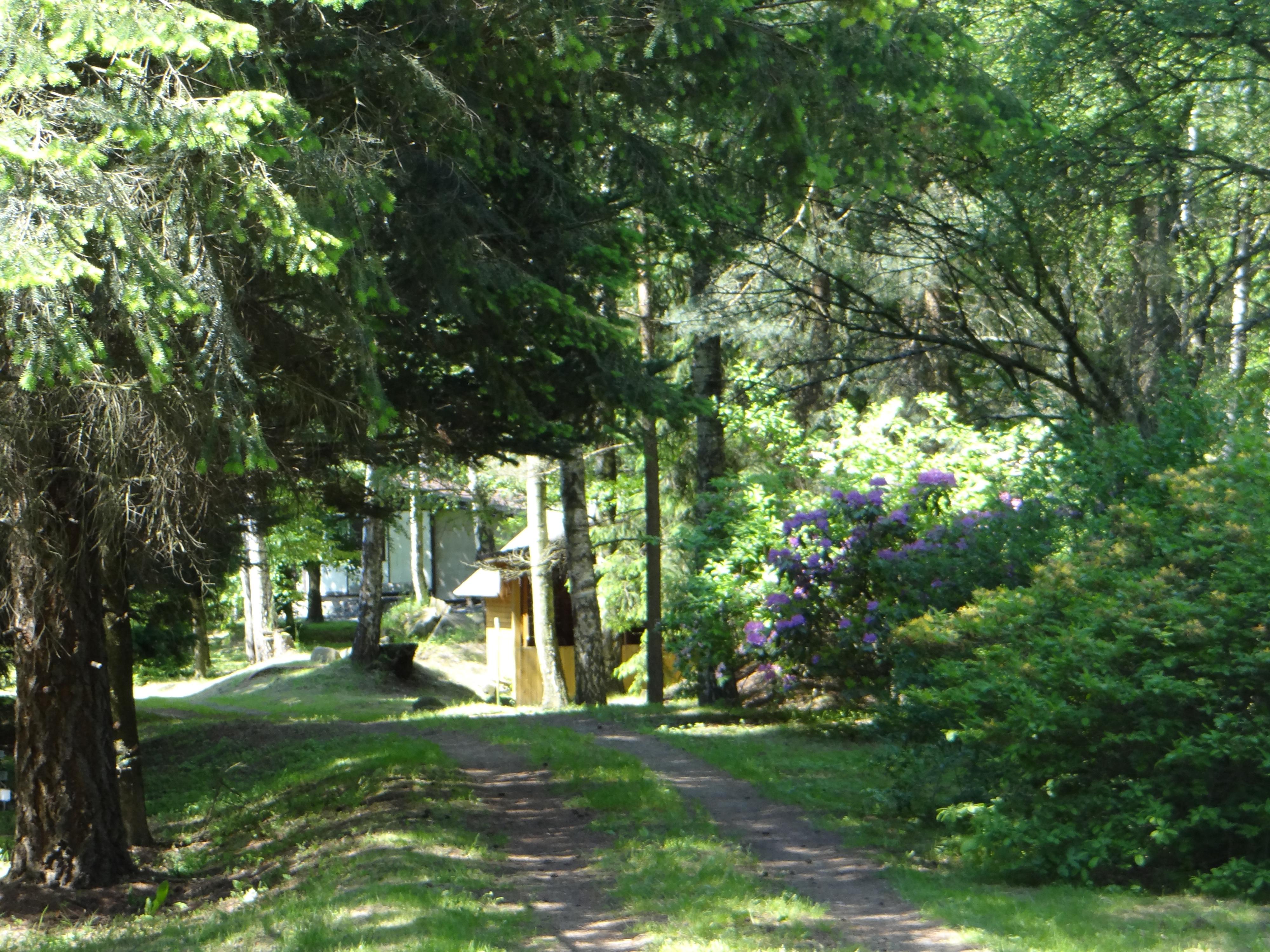 Arboretum foto 4