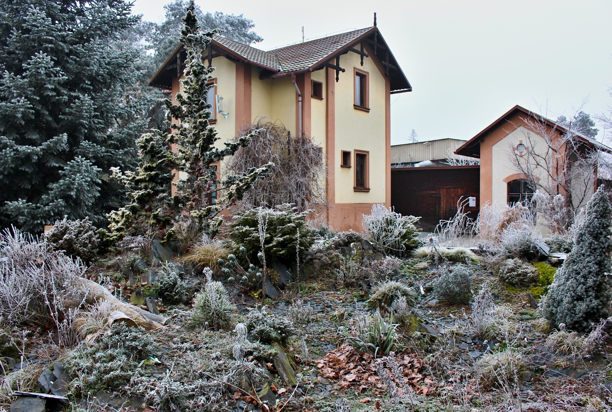 Botanická zahrada Přírodovědecké fakulty Univerzity Palackého v Olomouci