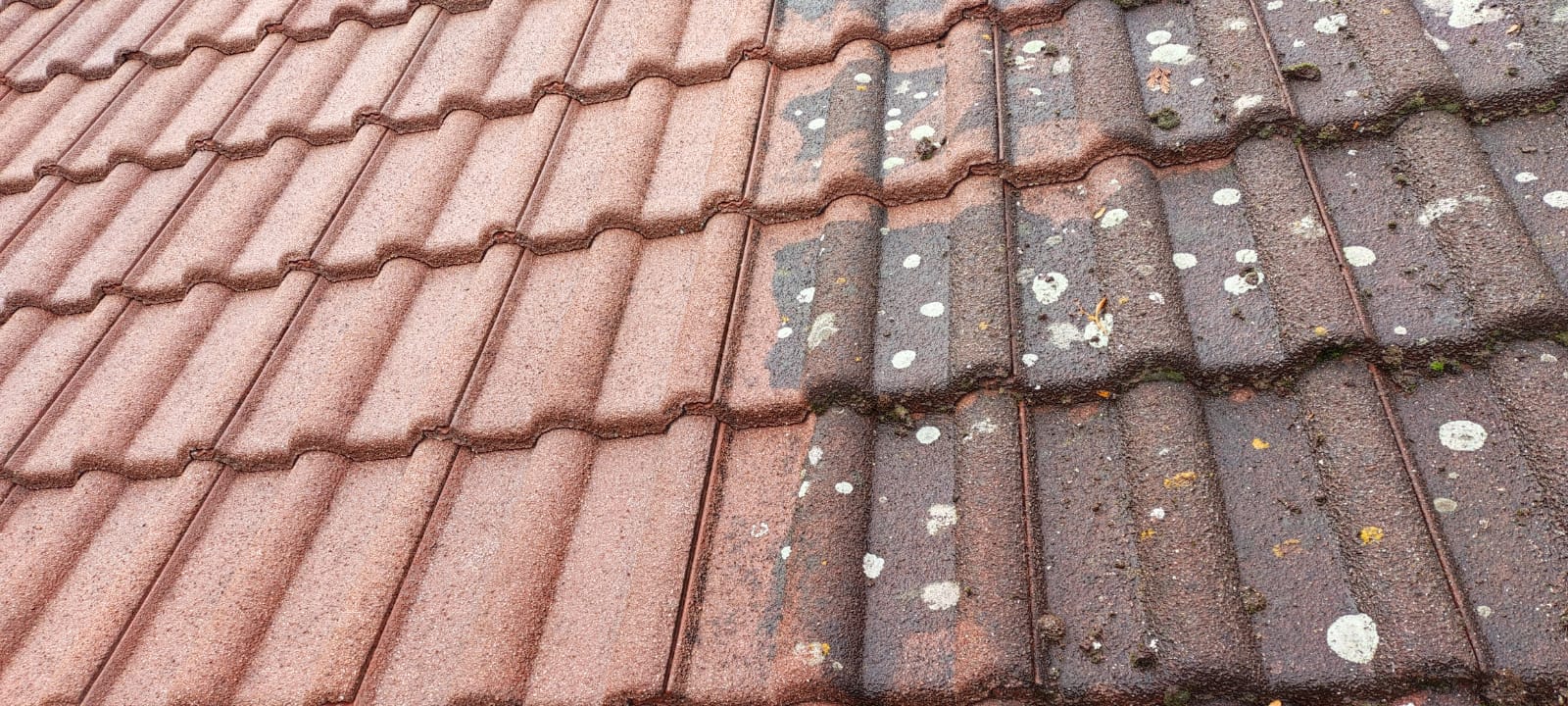 KOLOMANŽEL foto 2