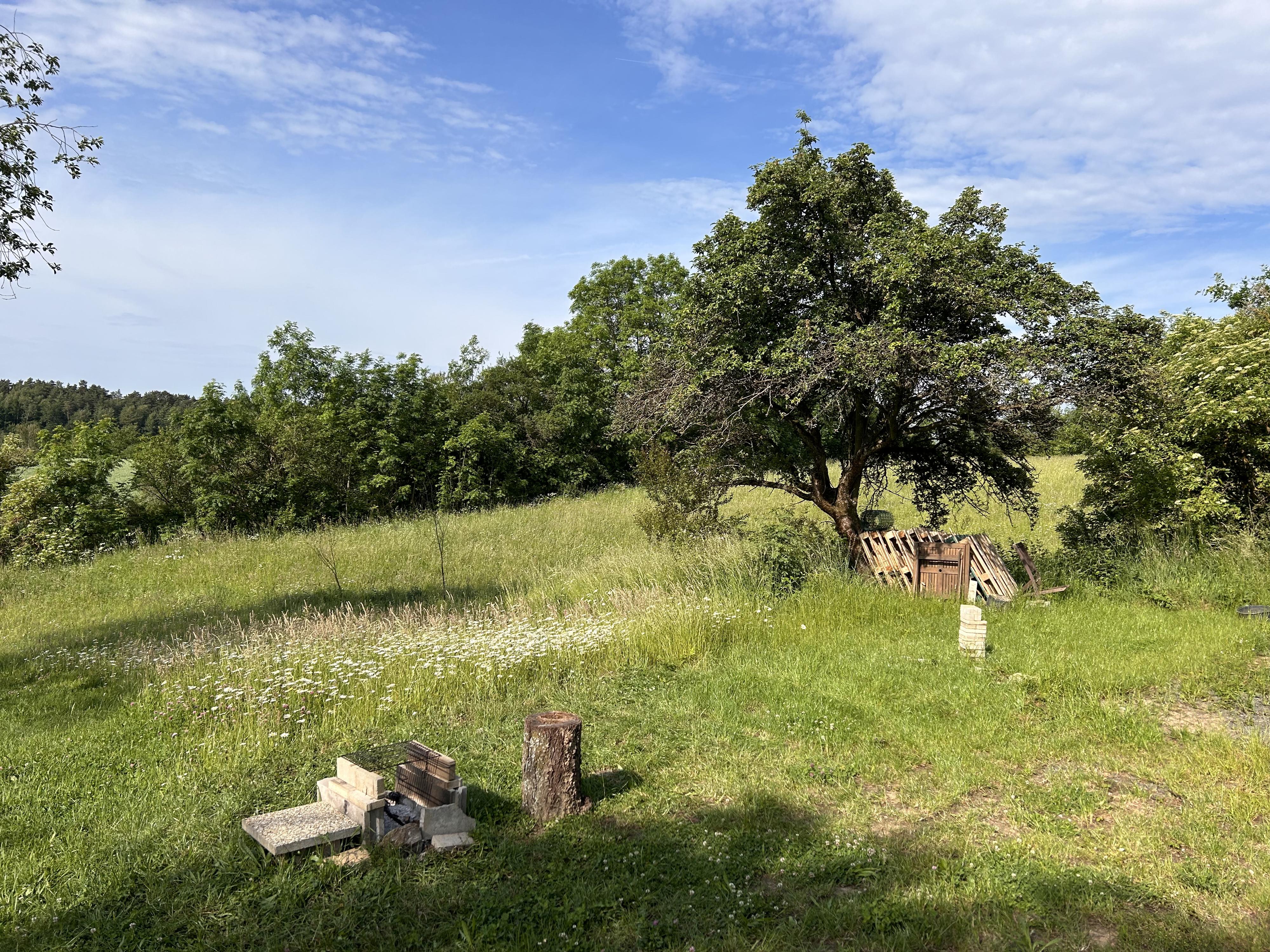 BezKempu U Dančí obory foto 6