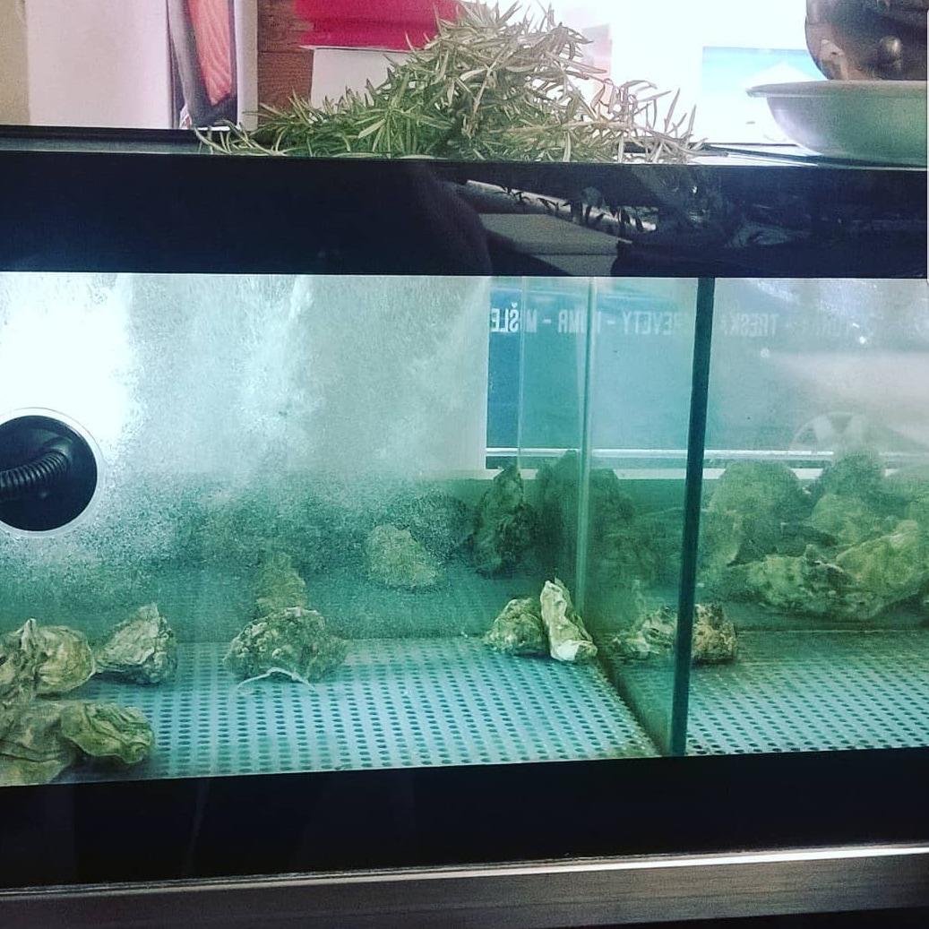 Originalniakvaria.cz foto 6