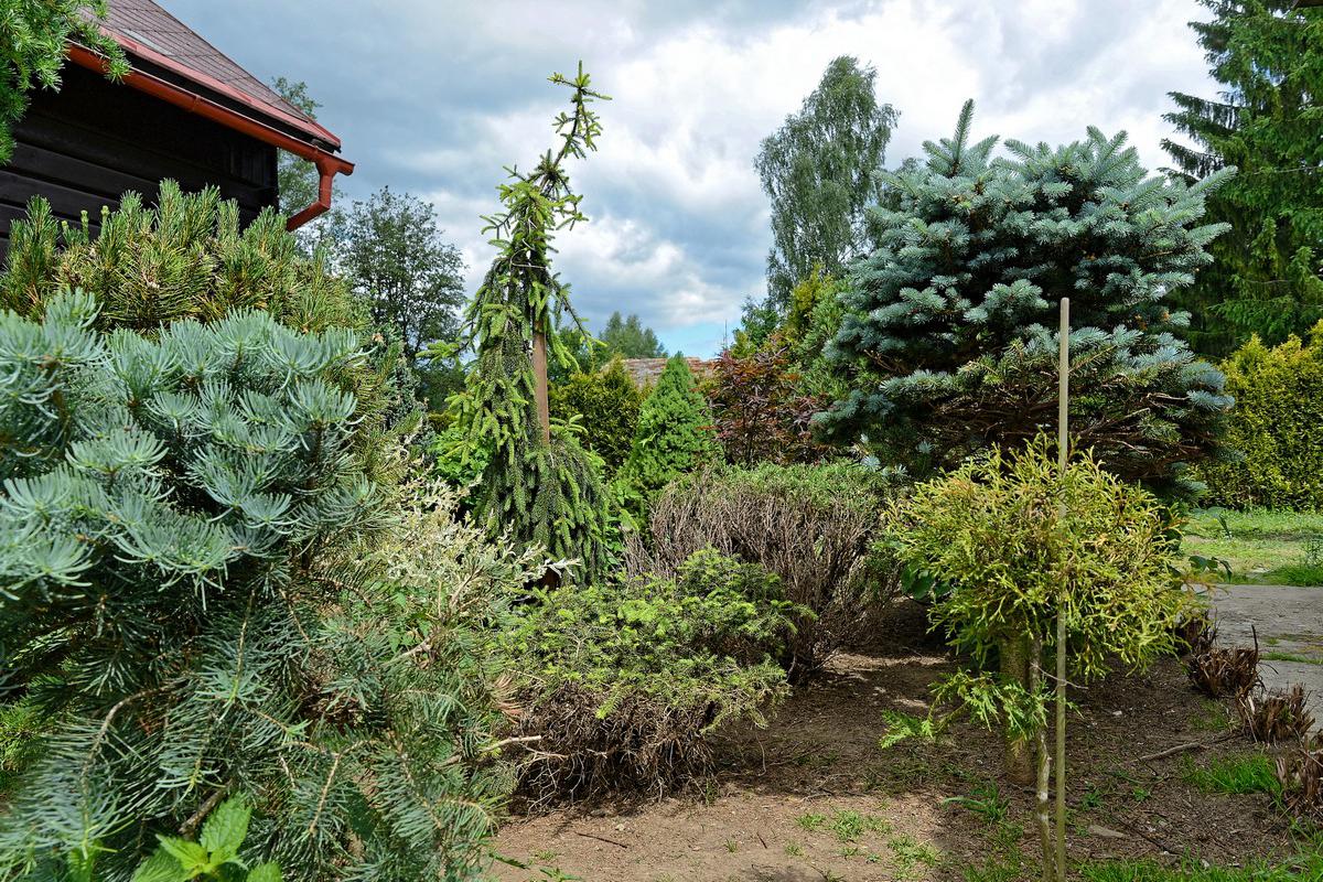 Údržba zeleně Trojan Zdeněk