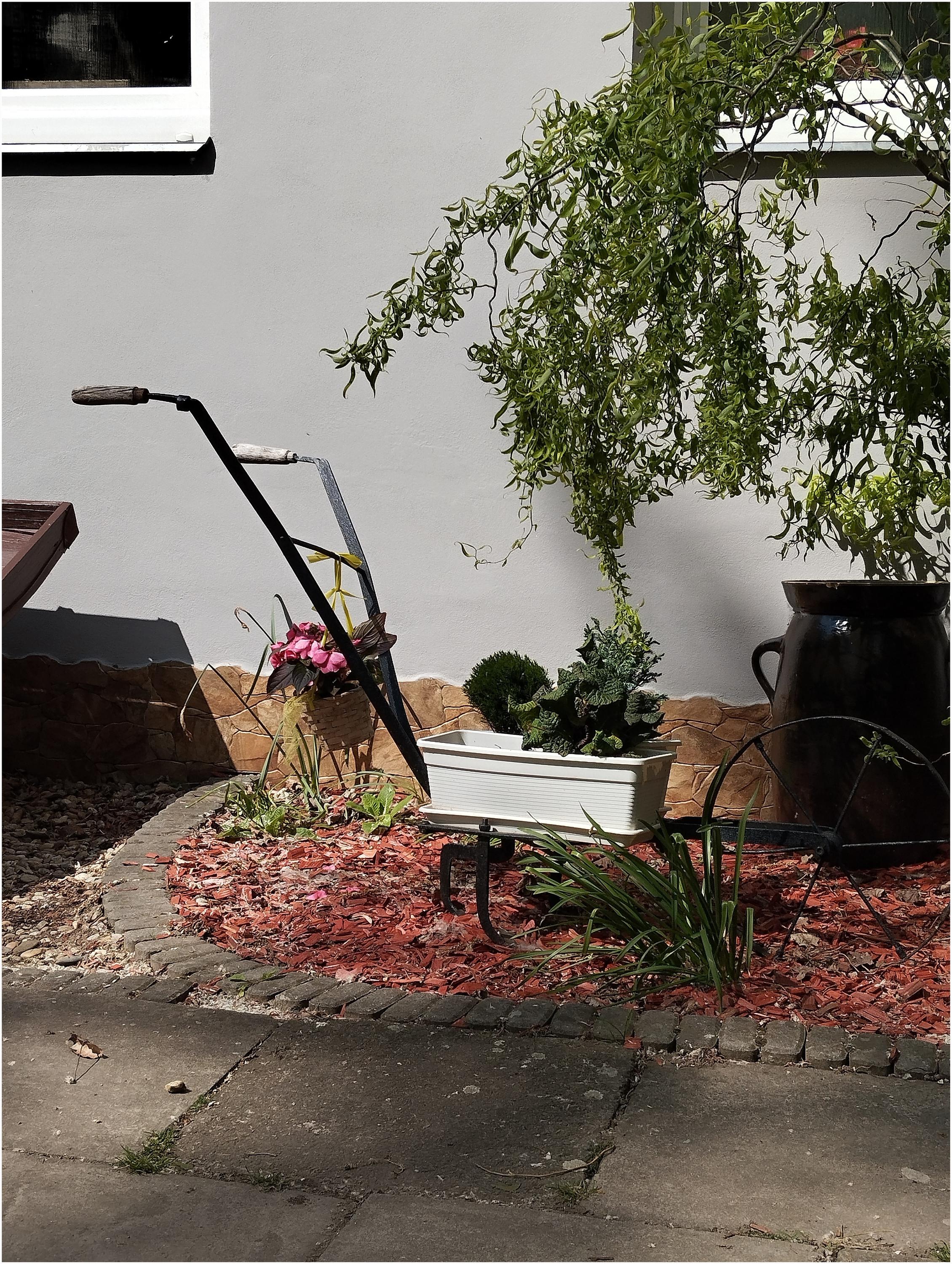 Bašta U Dokládalů foto 5