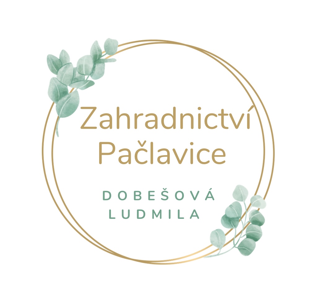 Zahradnictví  Dobešová foto 5