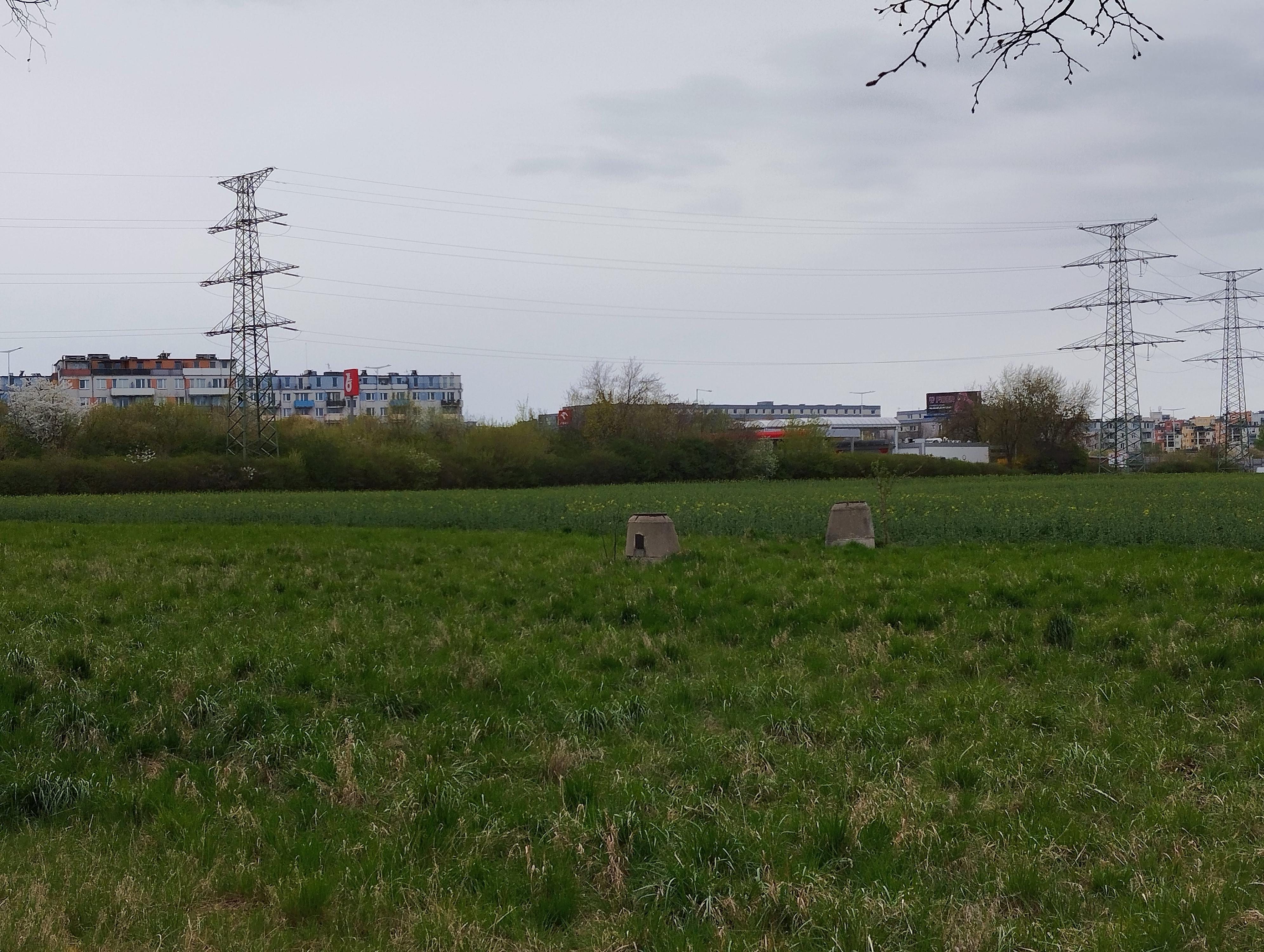 ORLEN foto 3