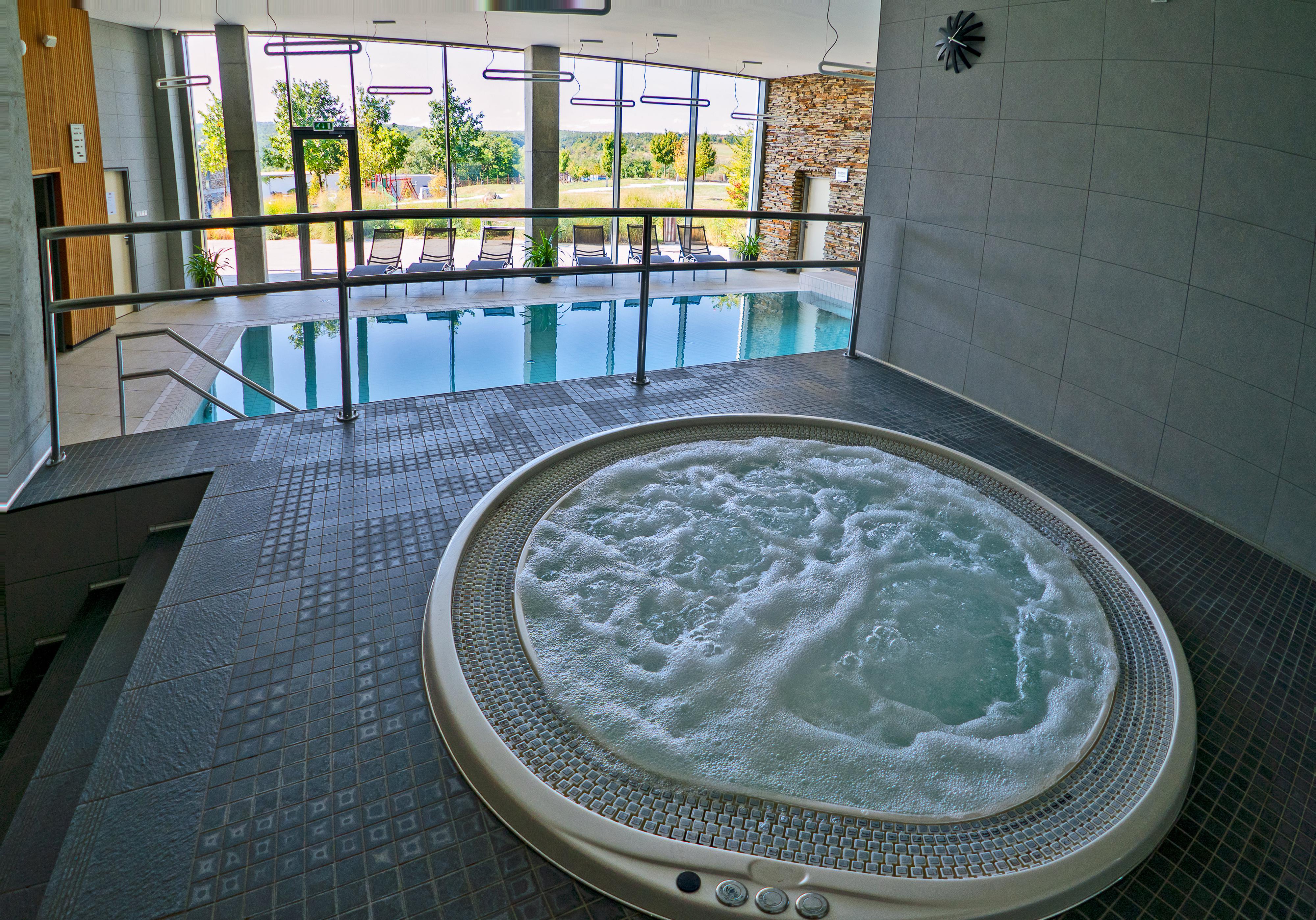Wellness Hotel Vinice Hnanice foto 3