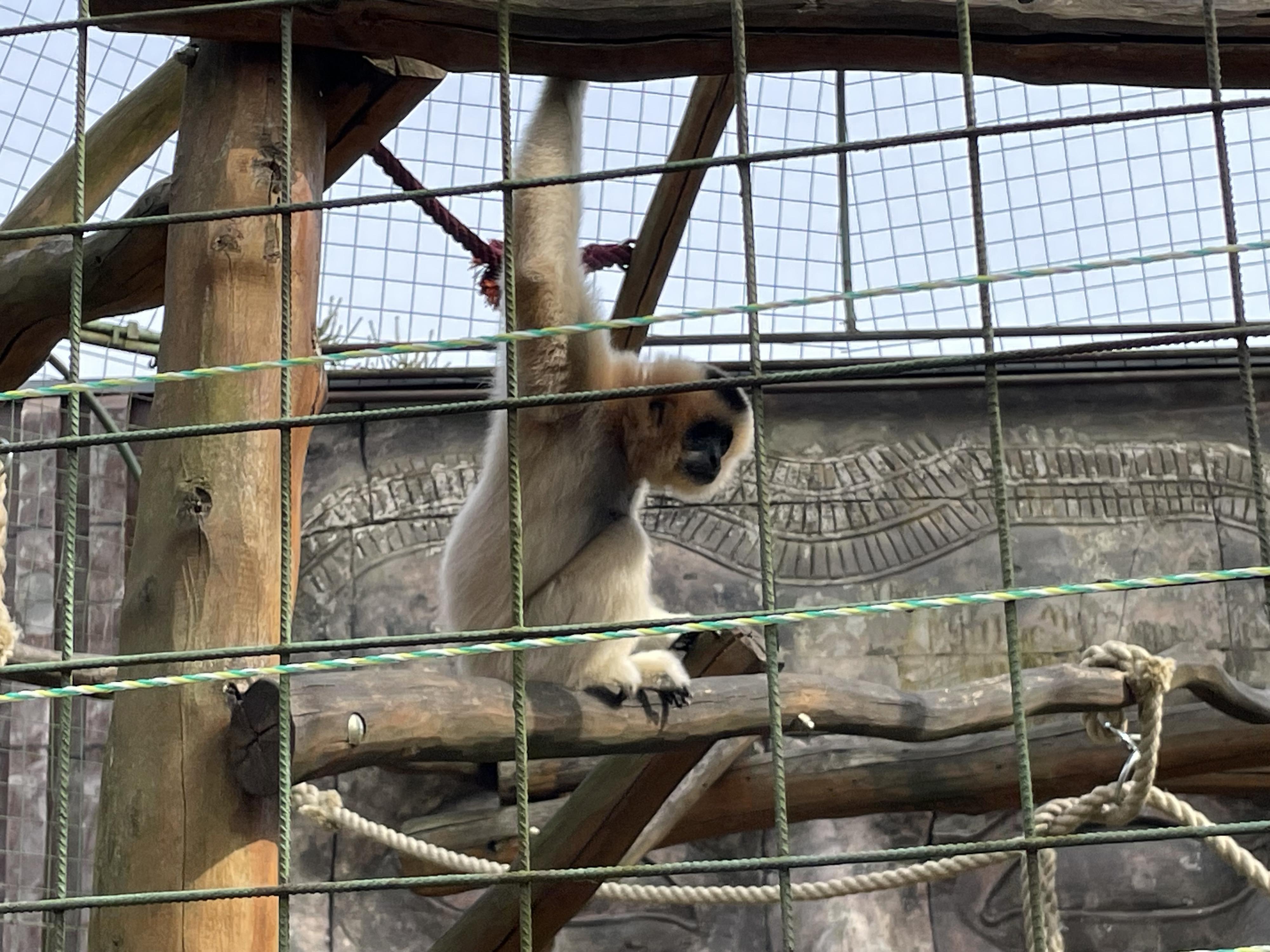 ZOO Chleby, o.p.s. foto 6
