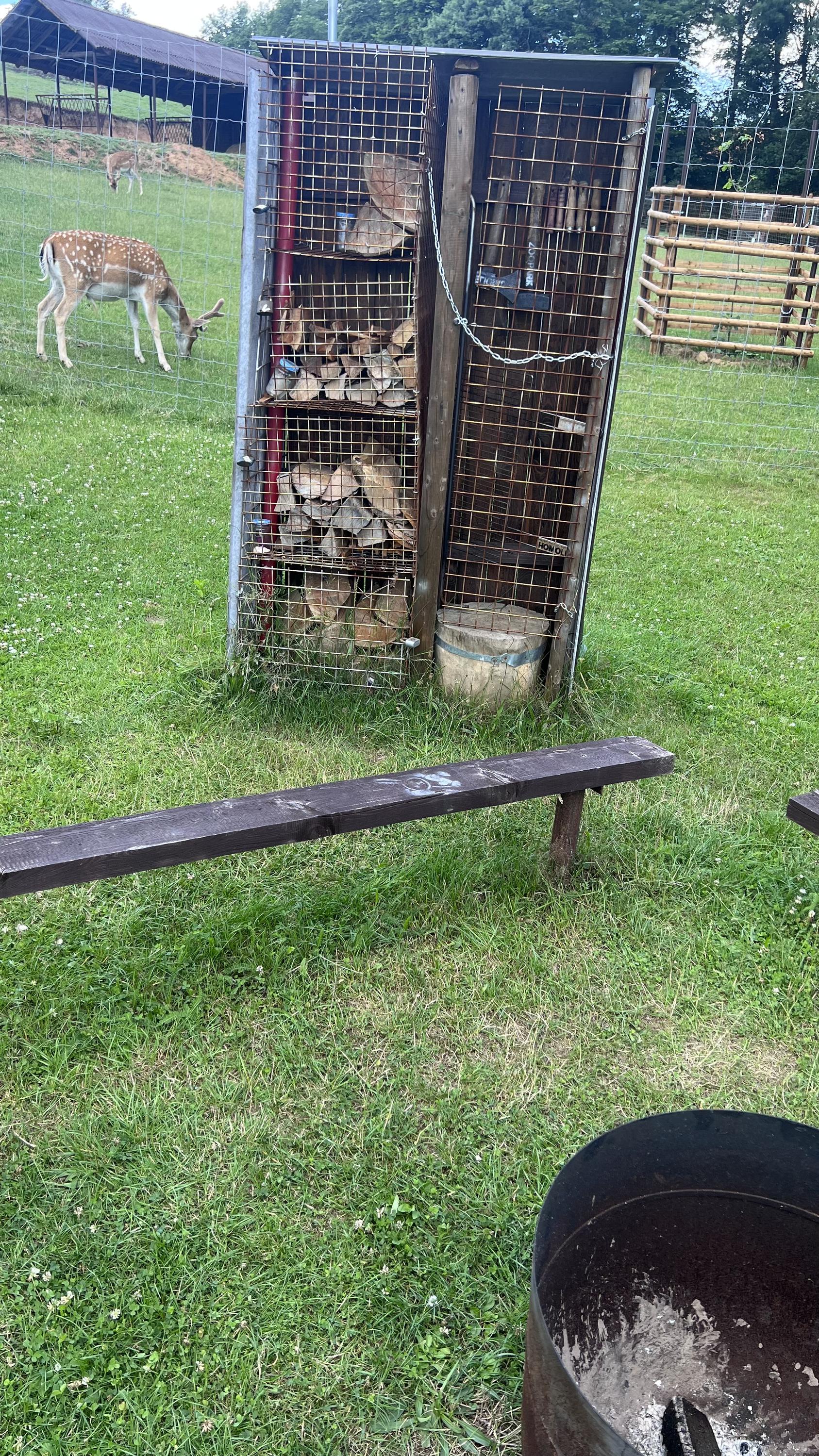 ZOOPARK jeleni Homole, z.s. foto 5