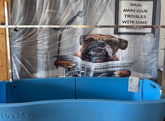 Psí salon Rájec-Jestřebí foto 4