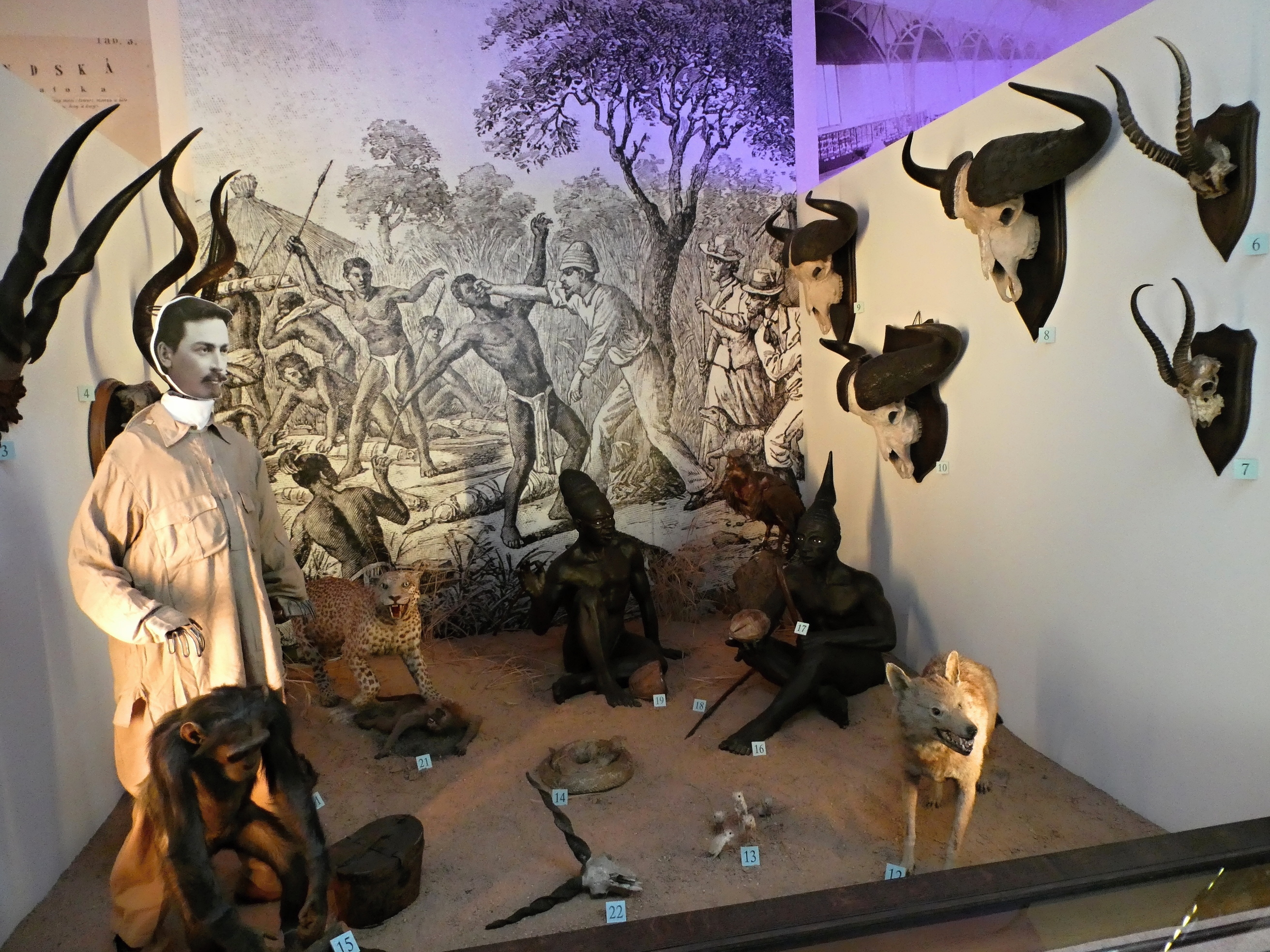 Africké muzeum Dr. Emila Holuba