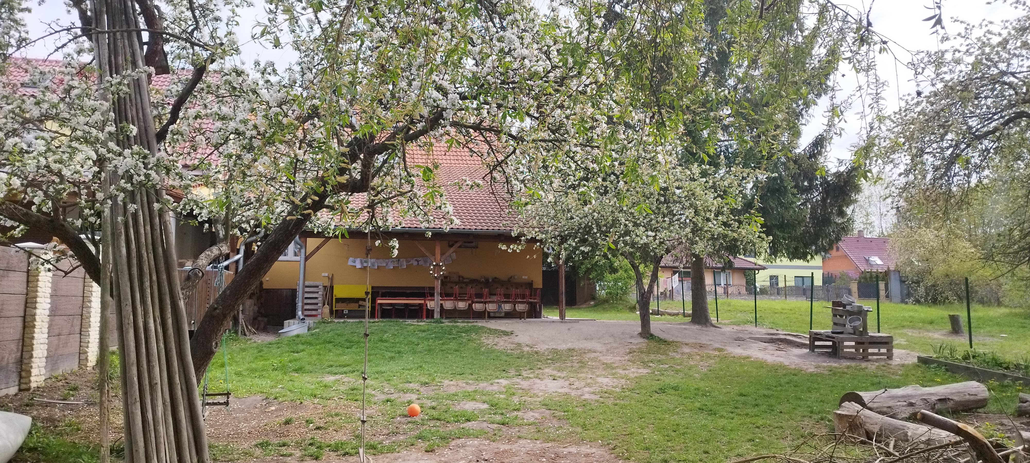 Lesní klub Budka foto 3