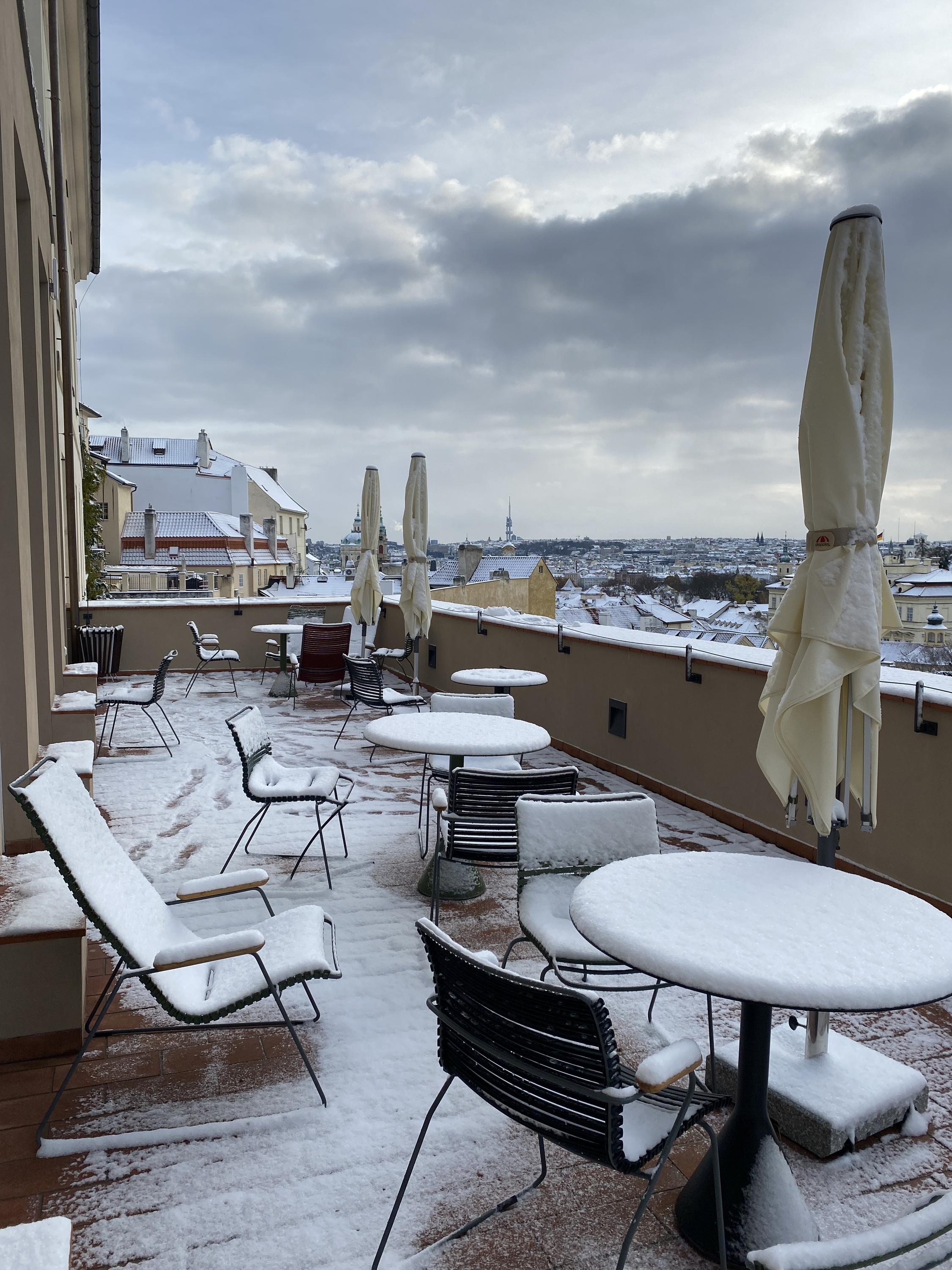 Park Lane International School foto 3