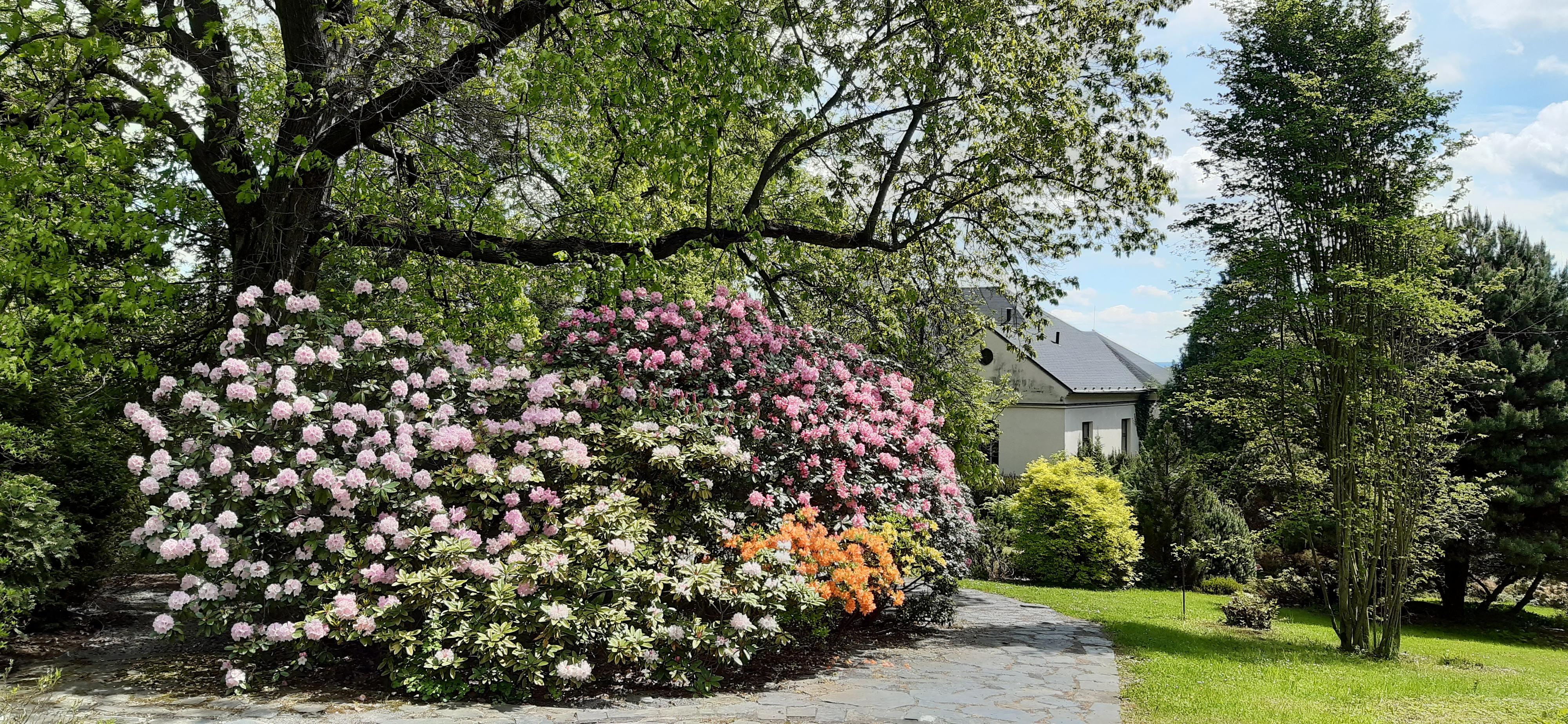 Arboretum Nový Dvůr foto 6