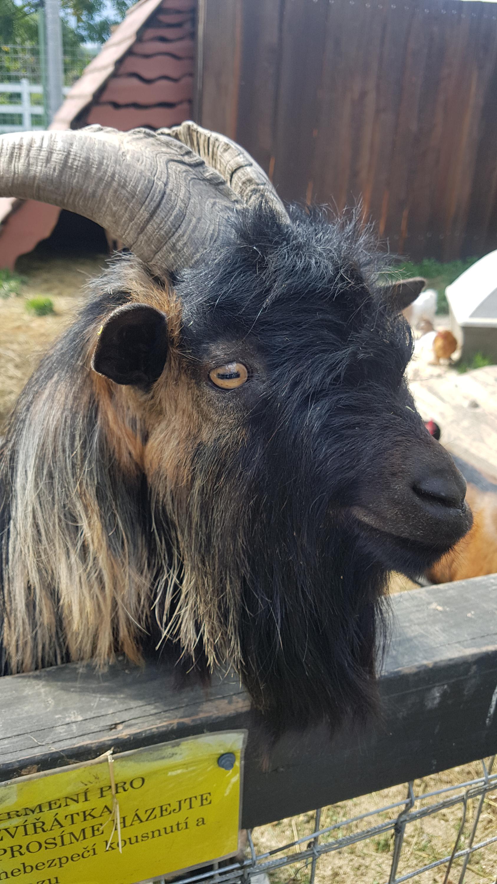 Rekreační park Karlštejn foto 5