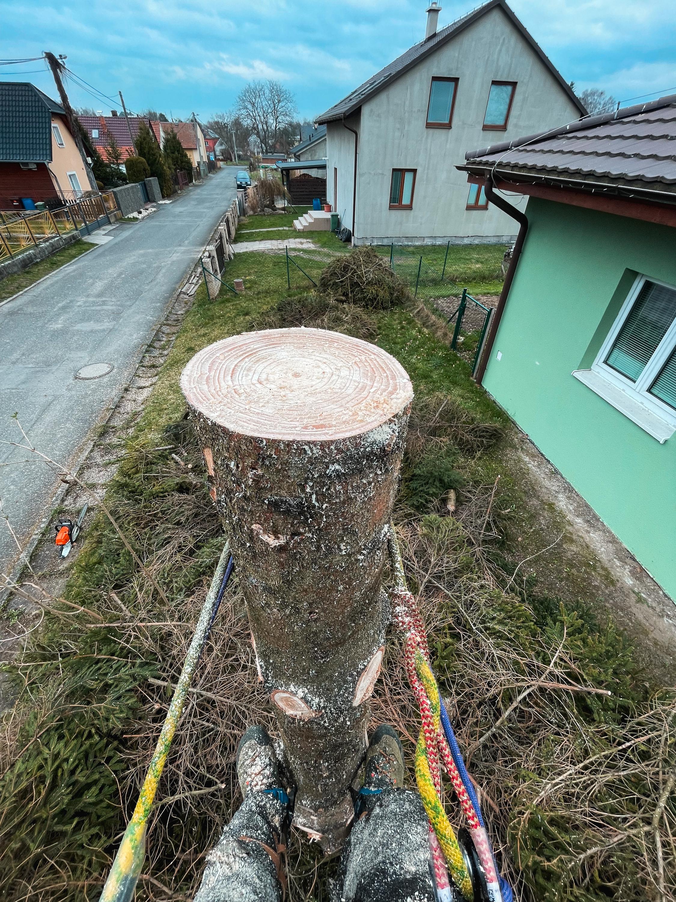 Etreestrvice - Rizikové kácení stromů foto 5