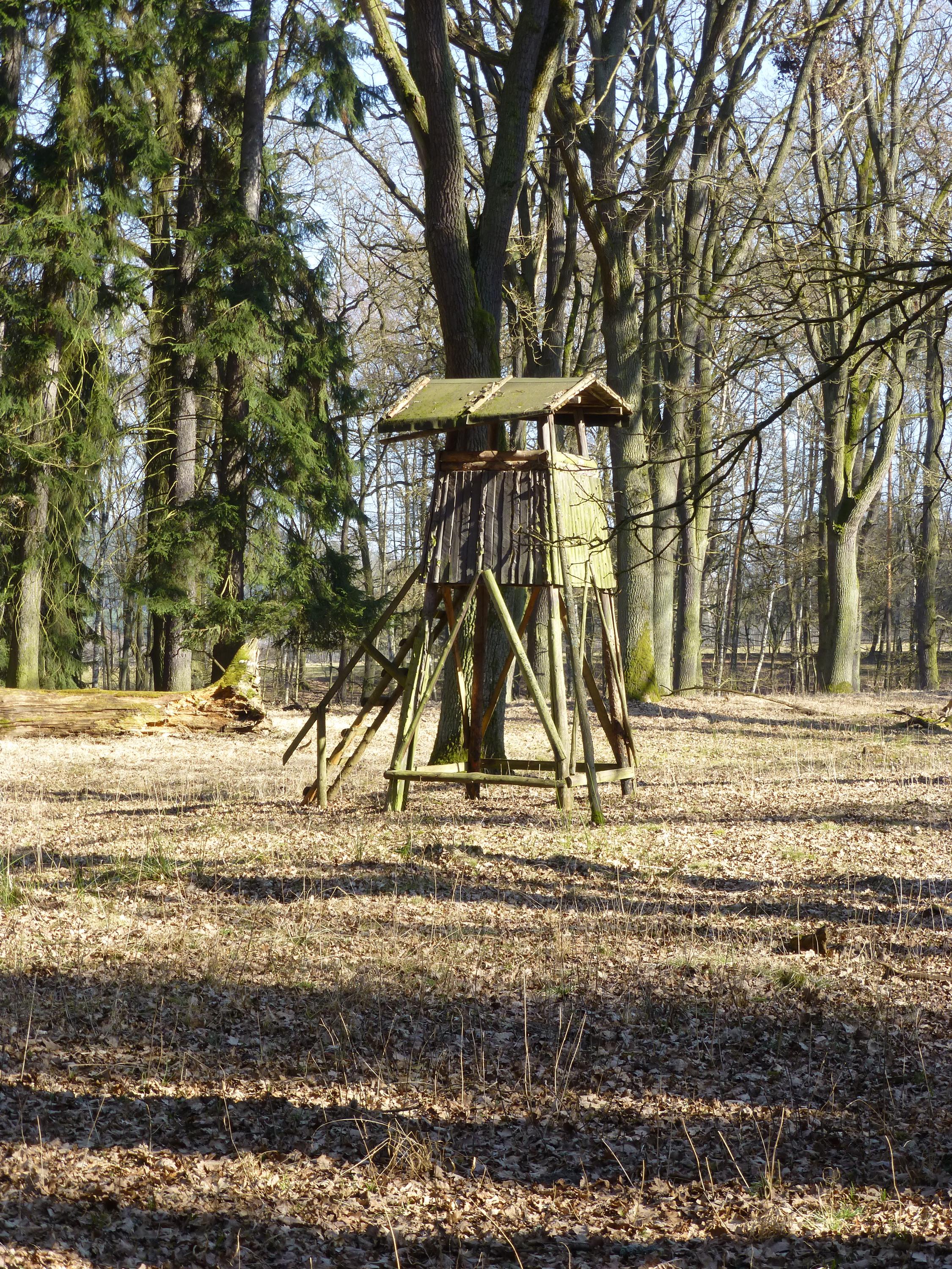 Žehrovská obora foto 6