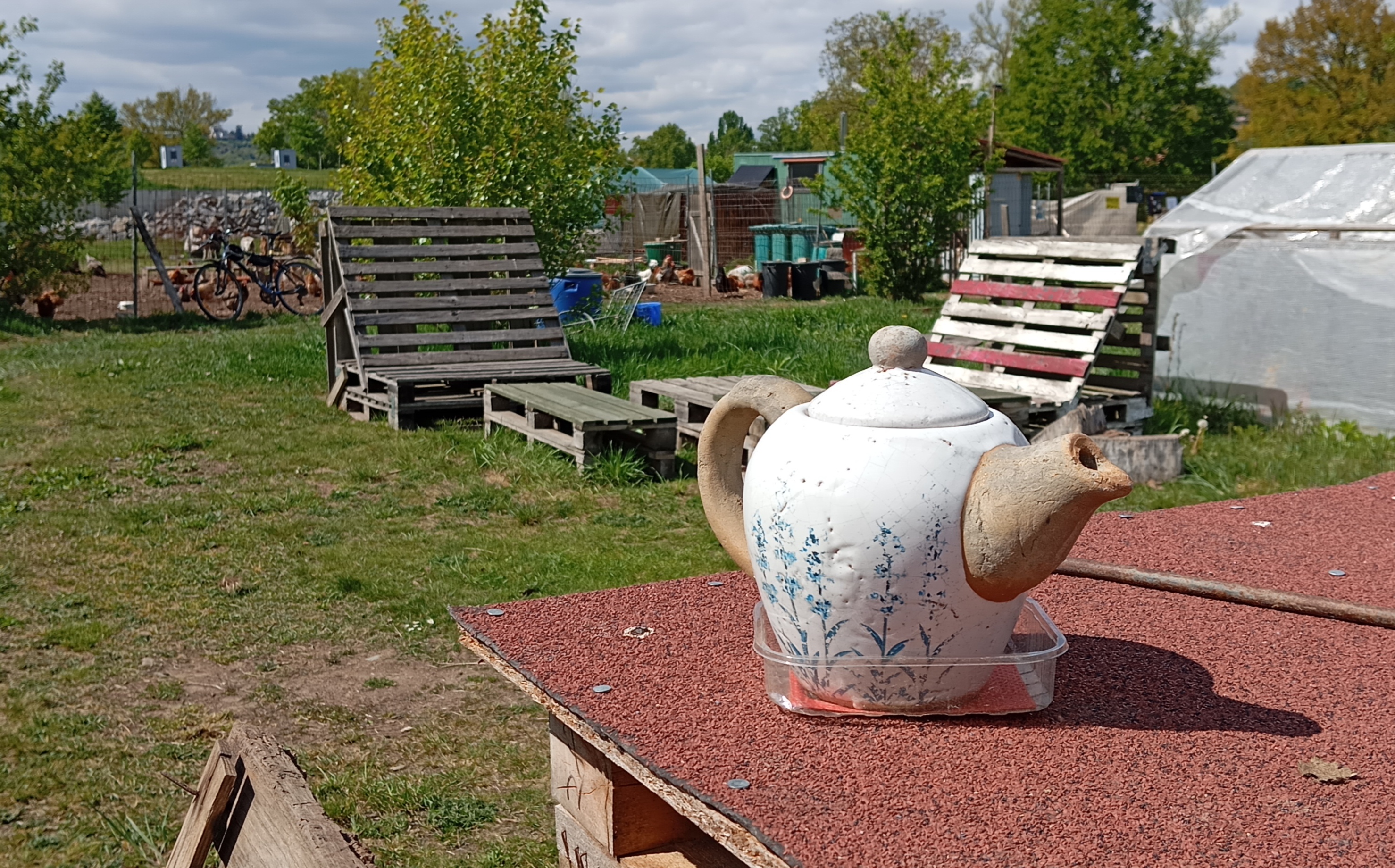 Komunitní zahrada Malý klín foto 6