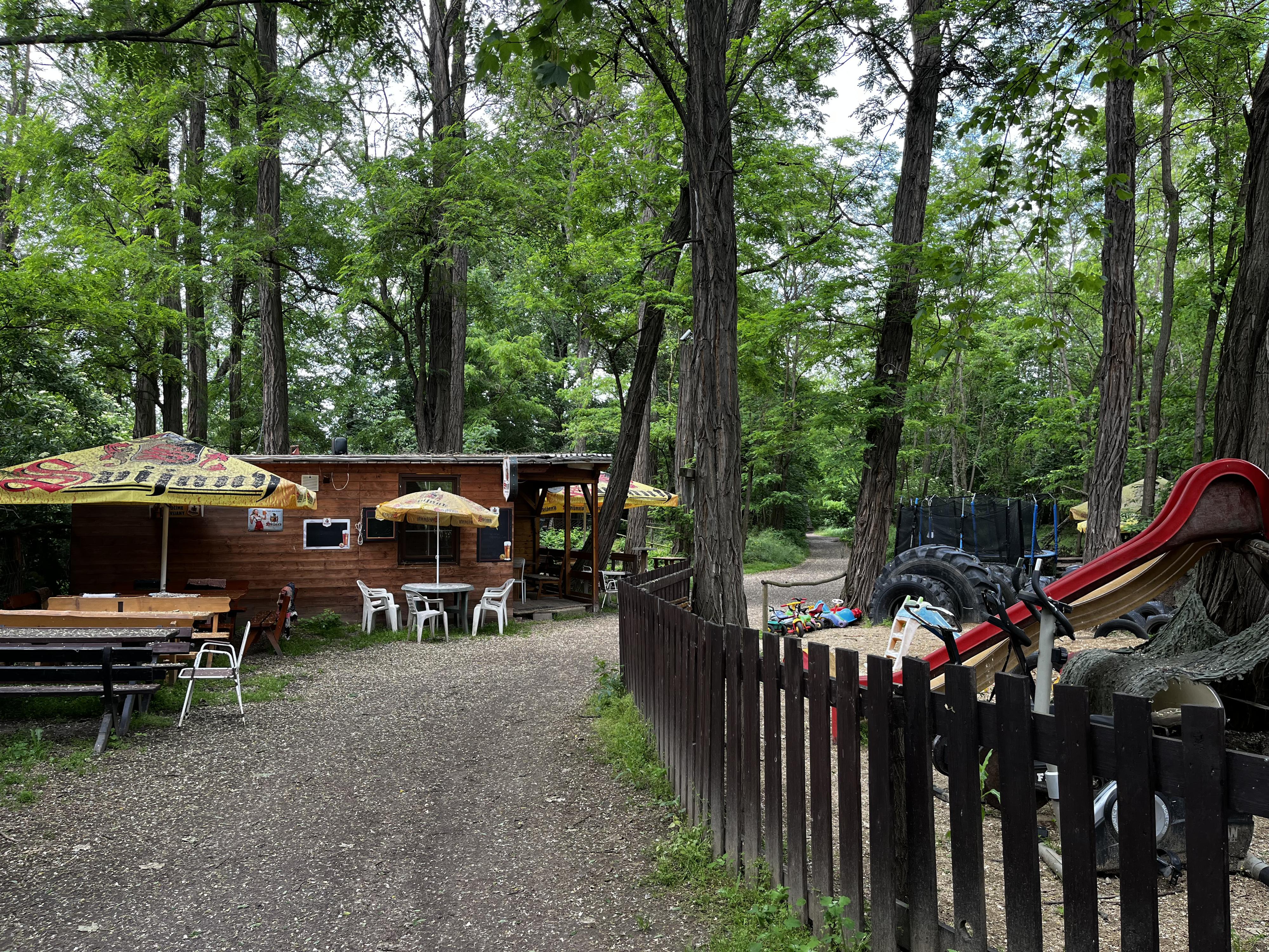 Grand hotel pub Hans foto 2