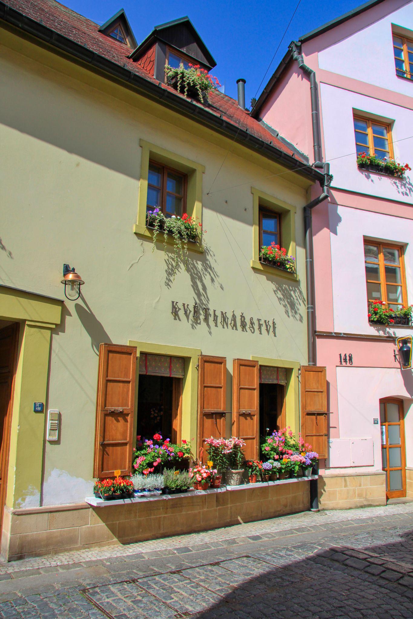 Květinářství Louny foto 3