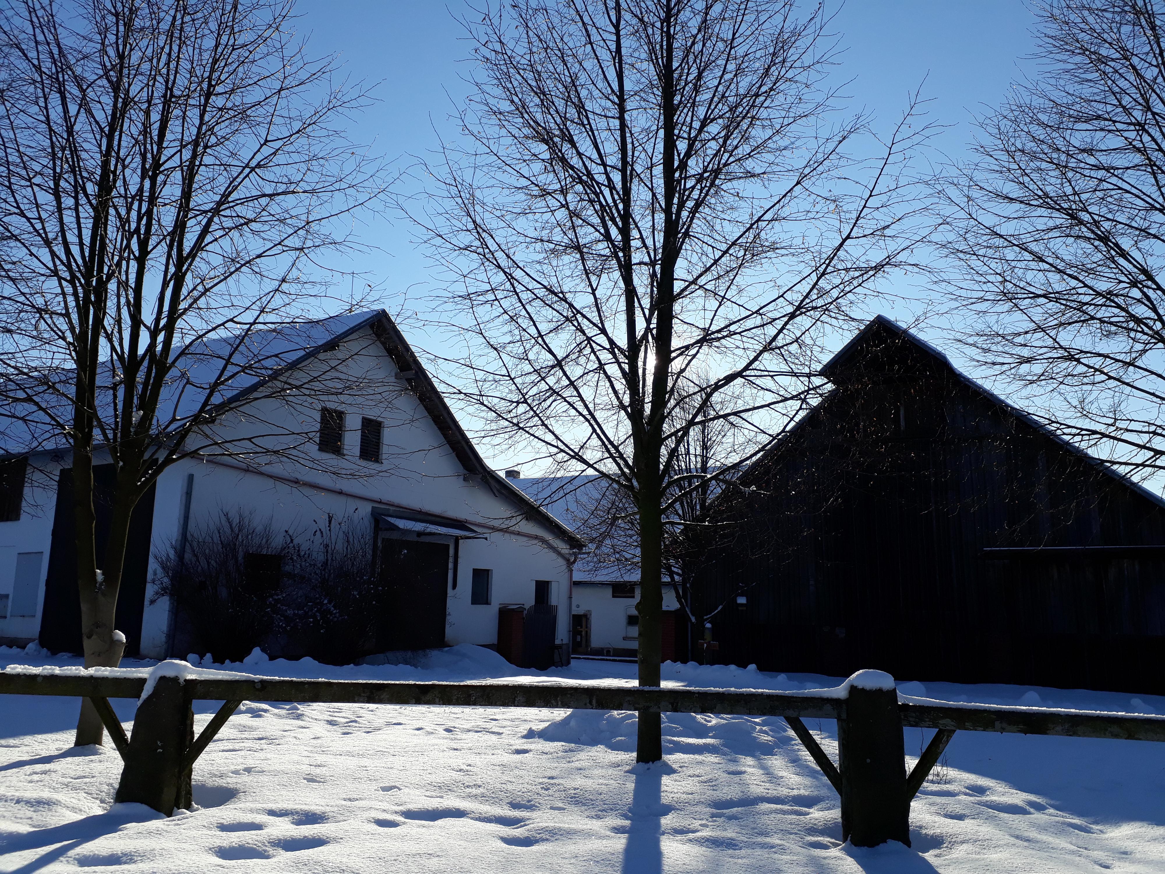 Statek Tilia, s.r.o. foto 3