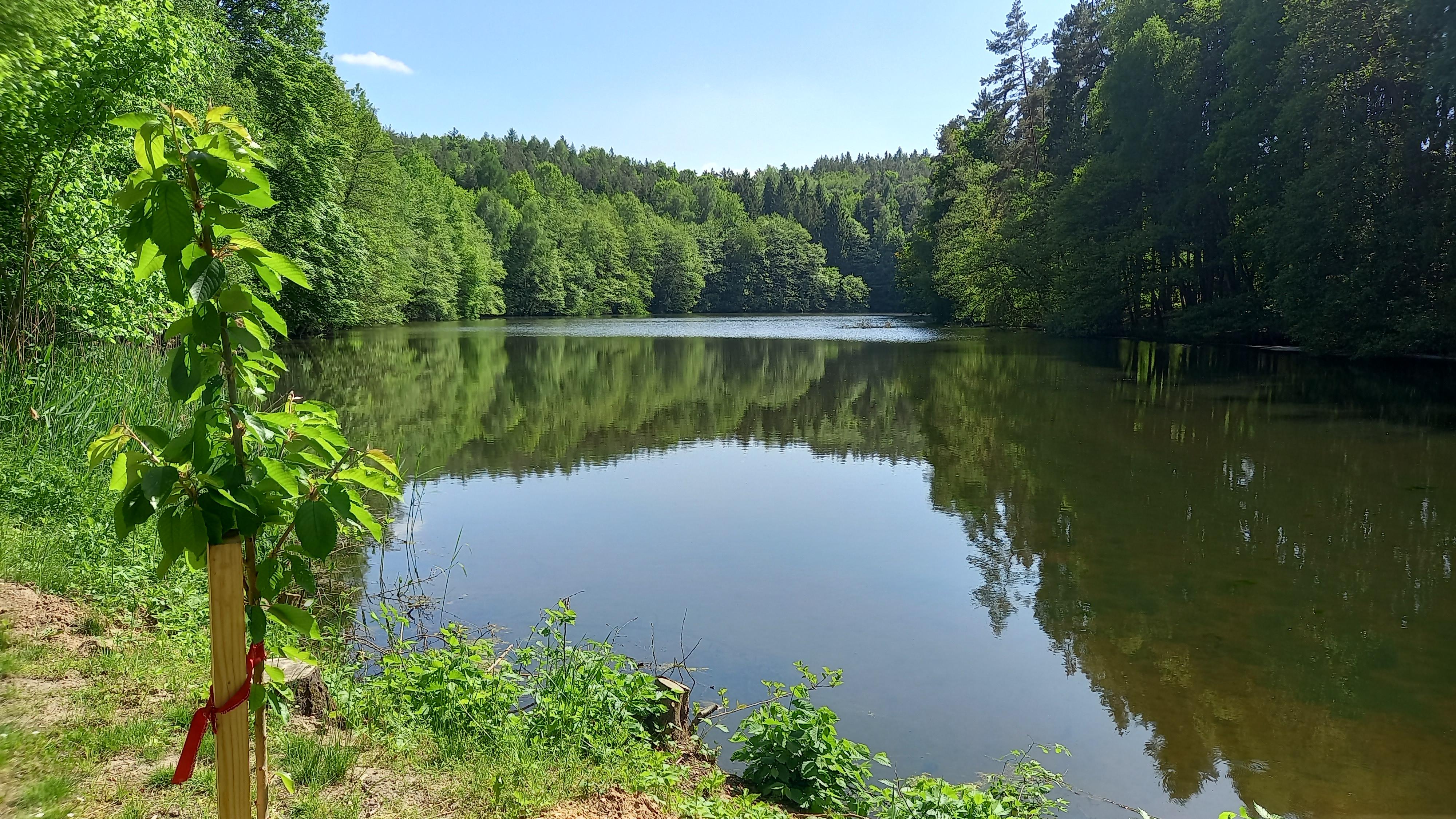 Rekreační zařízení Zlaté údolí foto 5