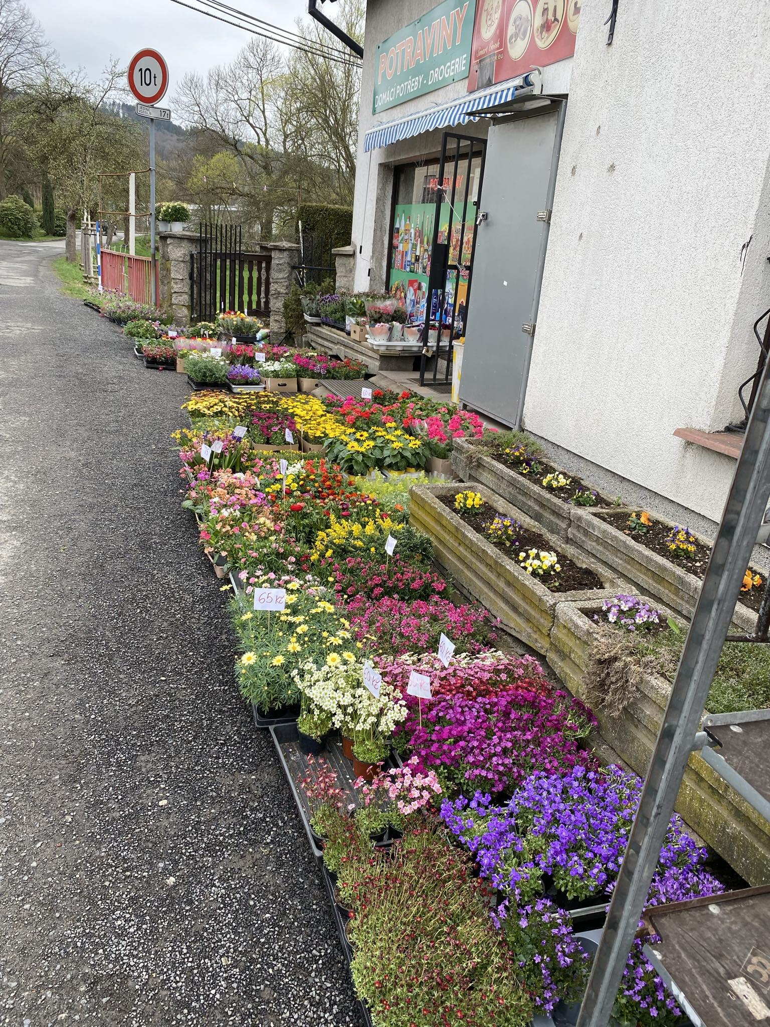 Potraviny Heřmánková foto 4