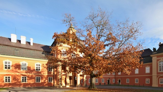 Zámek Dobříš foto 3