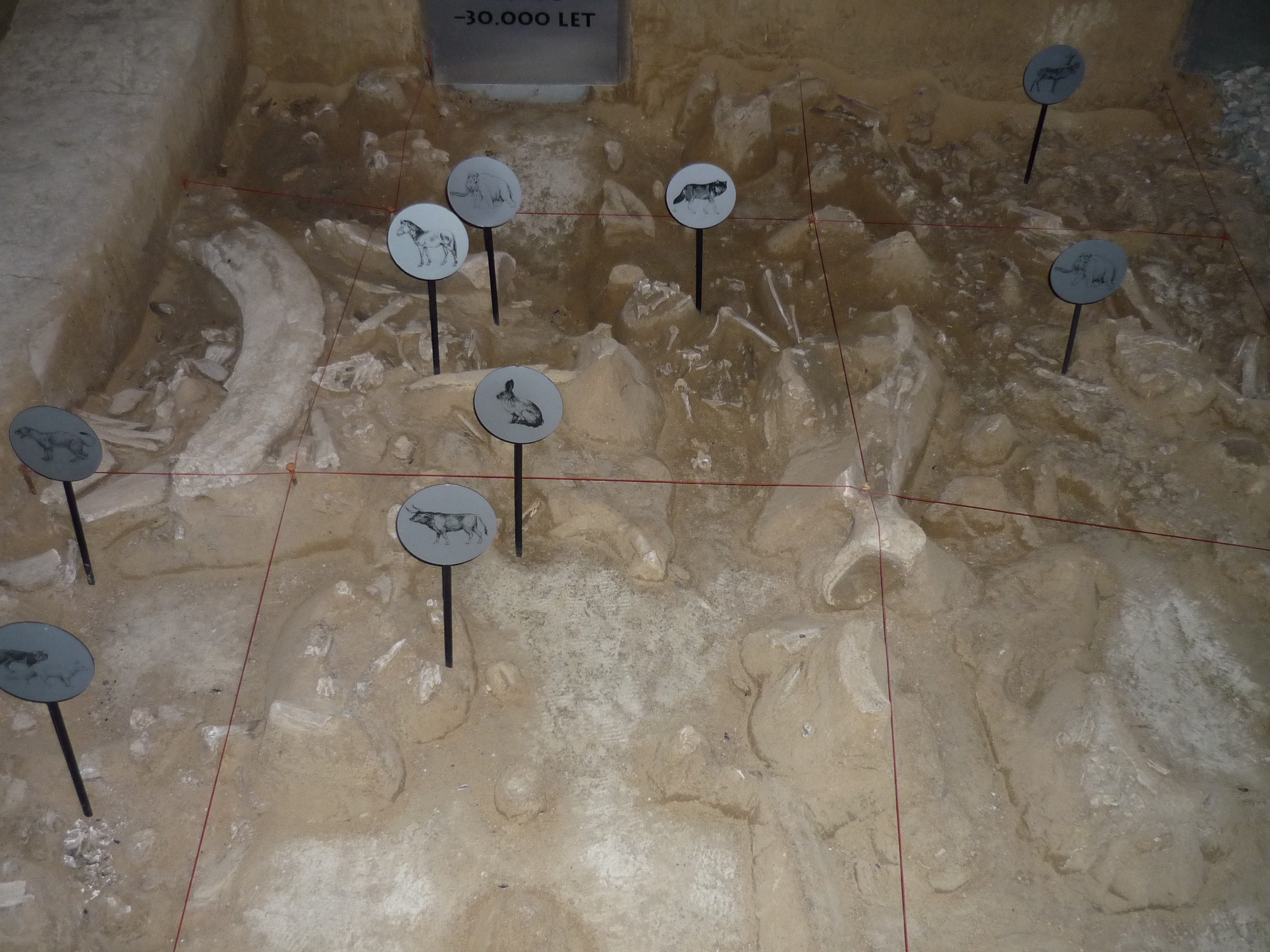 Památník lovců mamutů