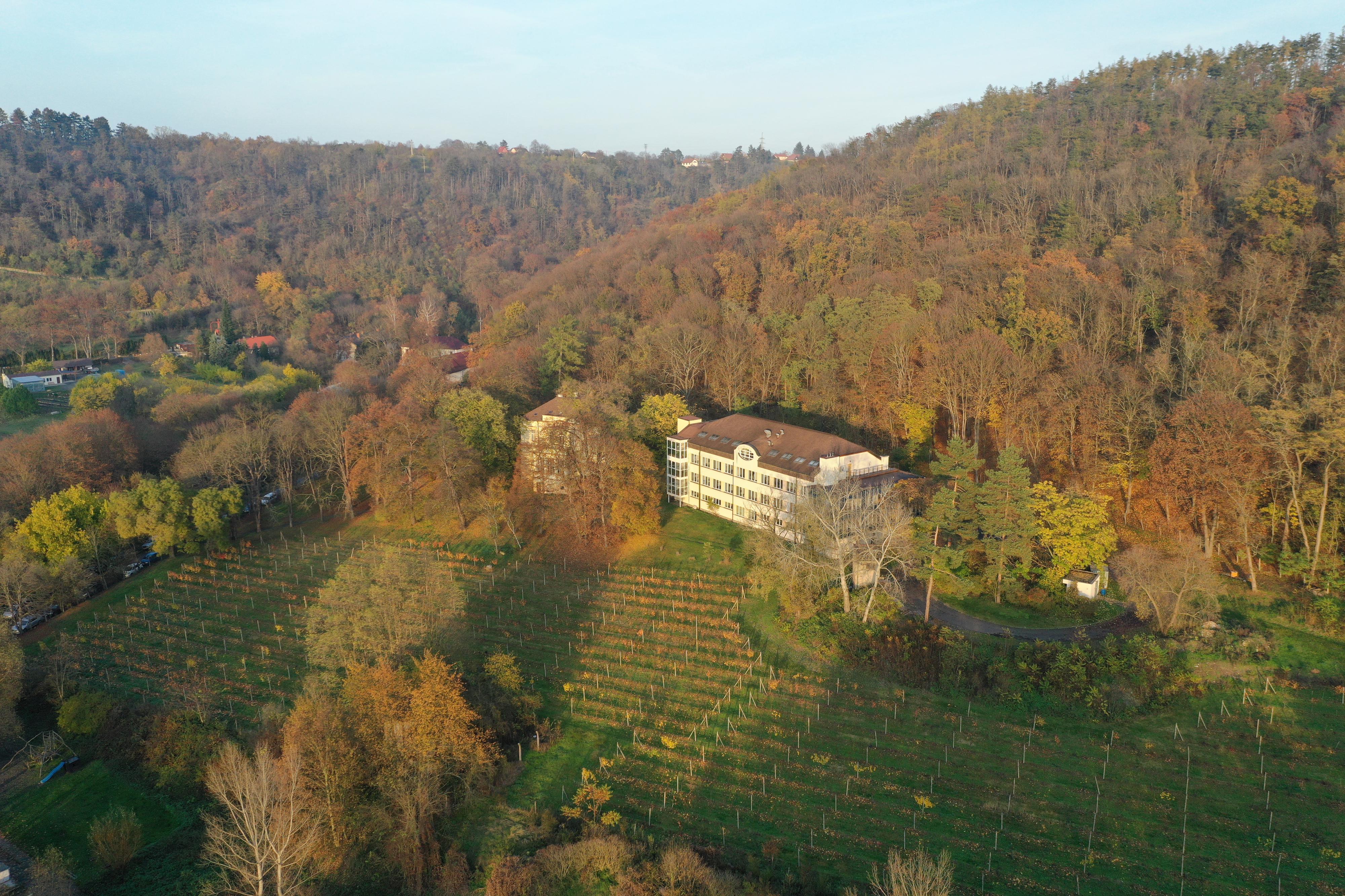 Výzkumný ústav včelařský, s.r.o. foto 2