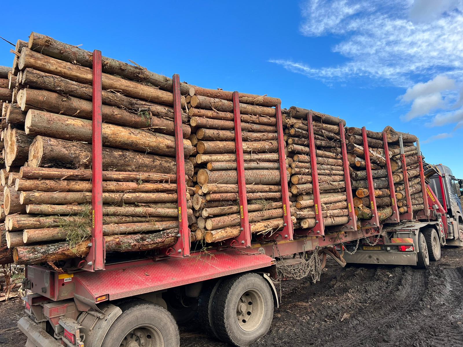 Prodej palivového dřeva - 1. VINOHRADSKÁ ENERGETICKÁ, s.r.o. foto 2