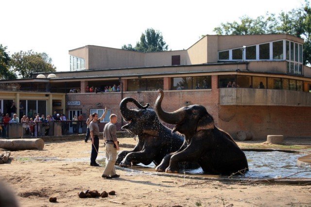 Zoo Praha