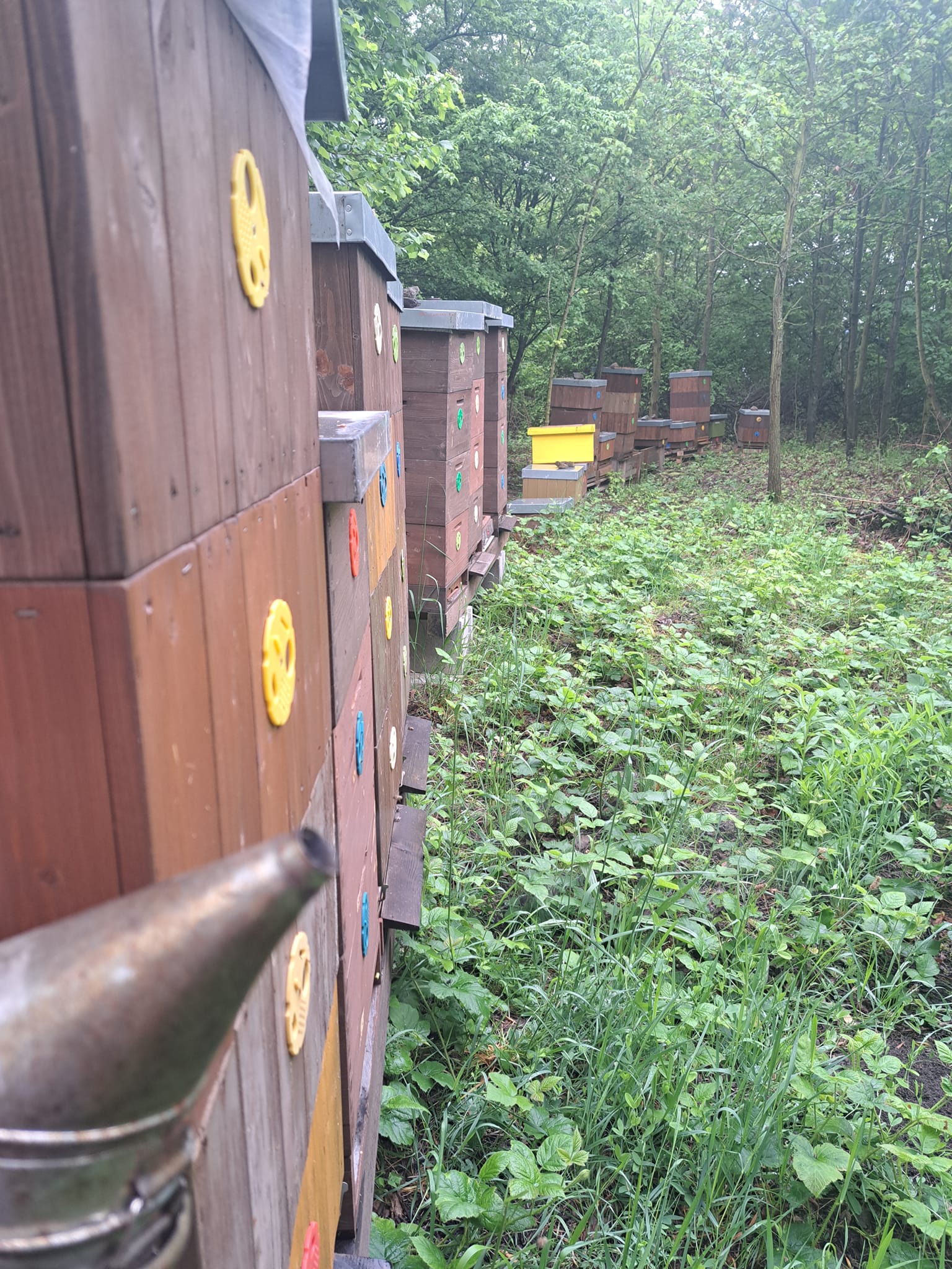 Smolíčkovo včelařství, mezistěny foto 4