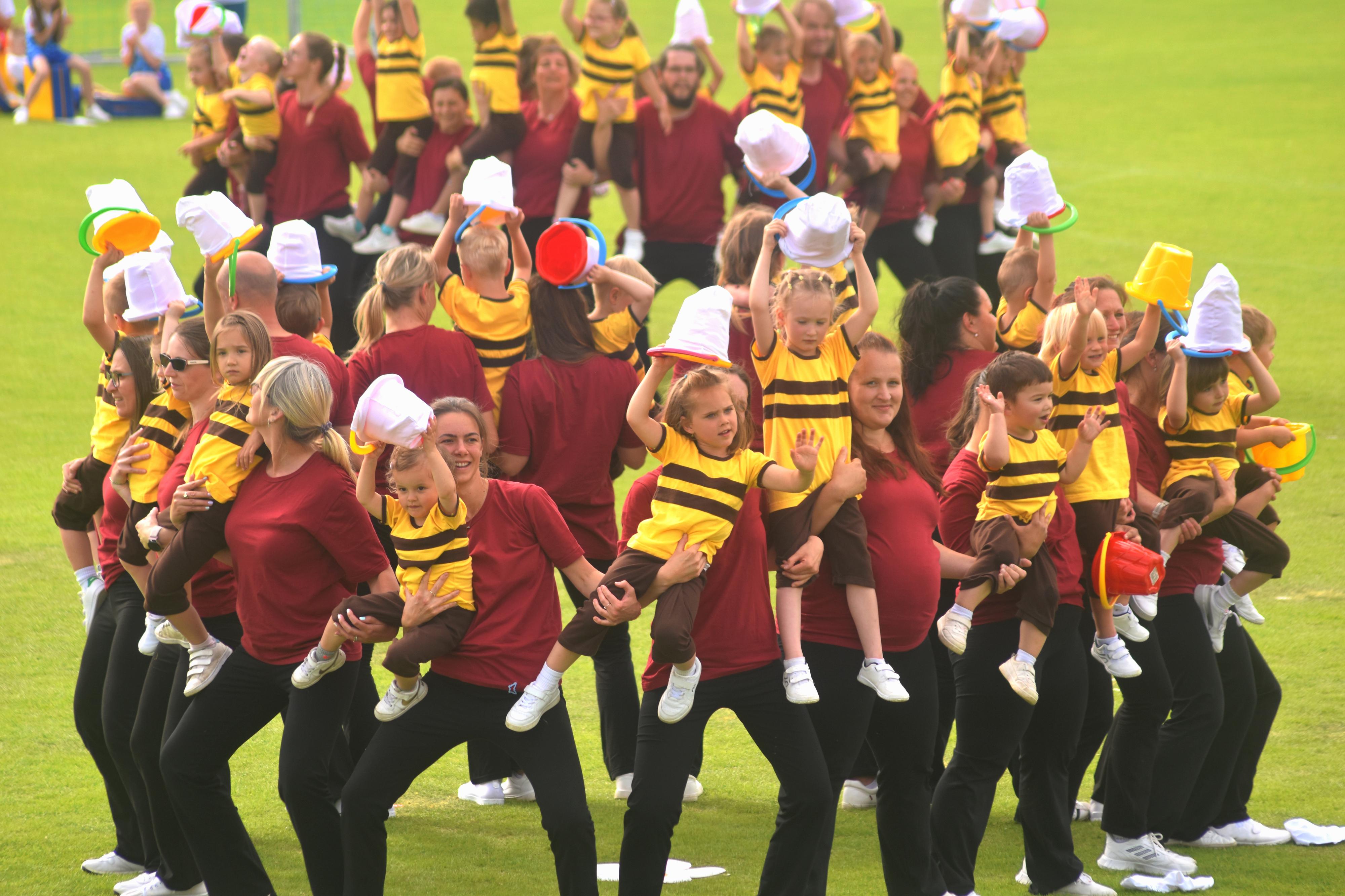 Tělocvičná jednota Sokol Plzeň Letná foto 3