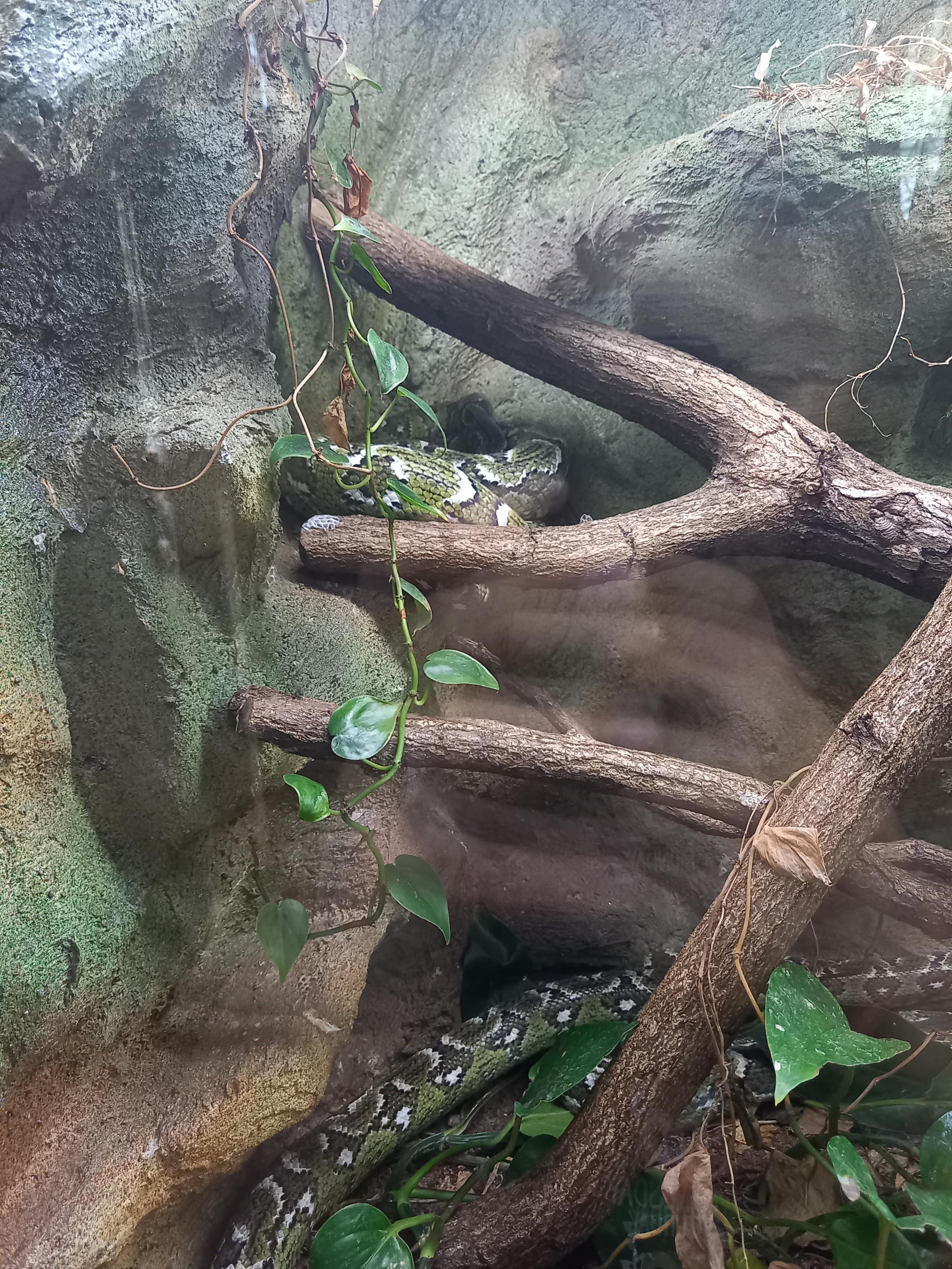 Safari Park Dvůr Králové foto 3