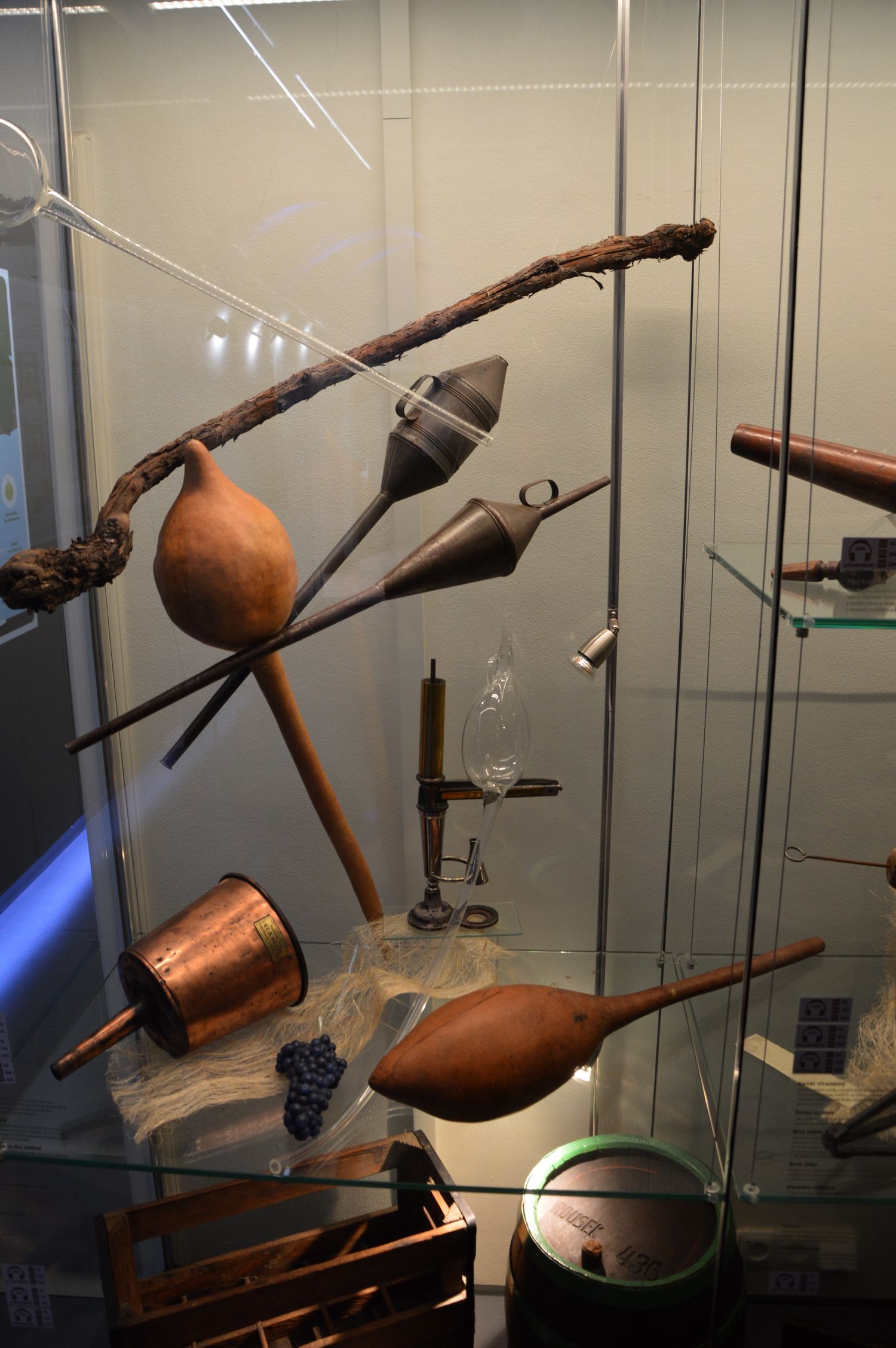 NZM Valtice - Muzeum vinařství, zahradnictví a životního prostředí foto 5