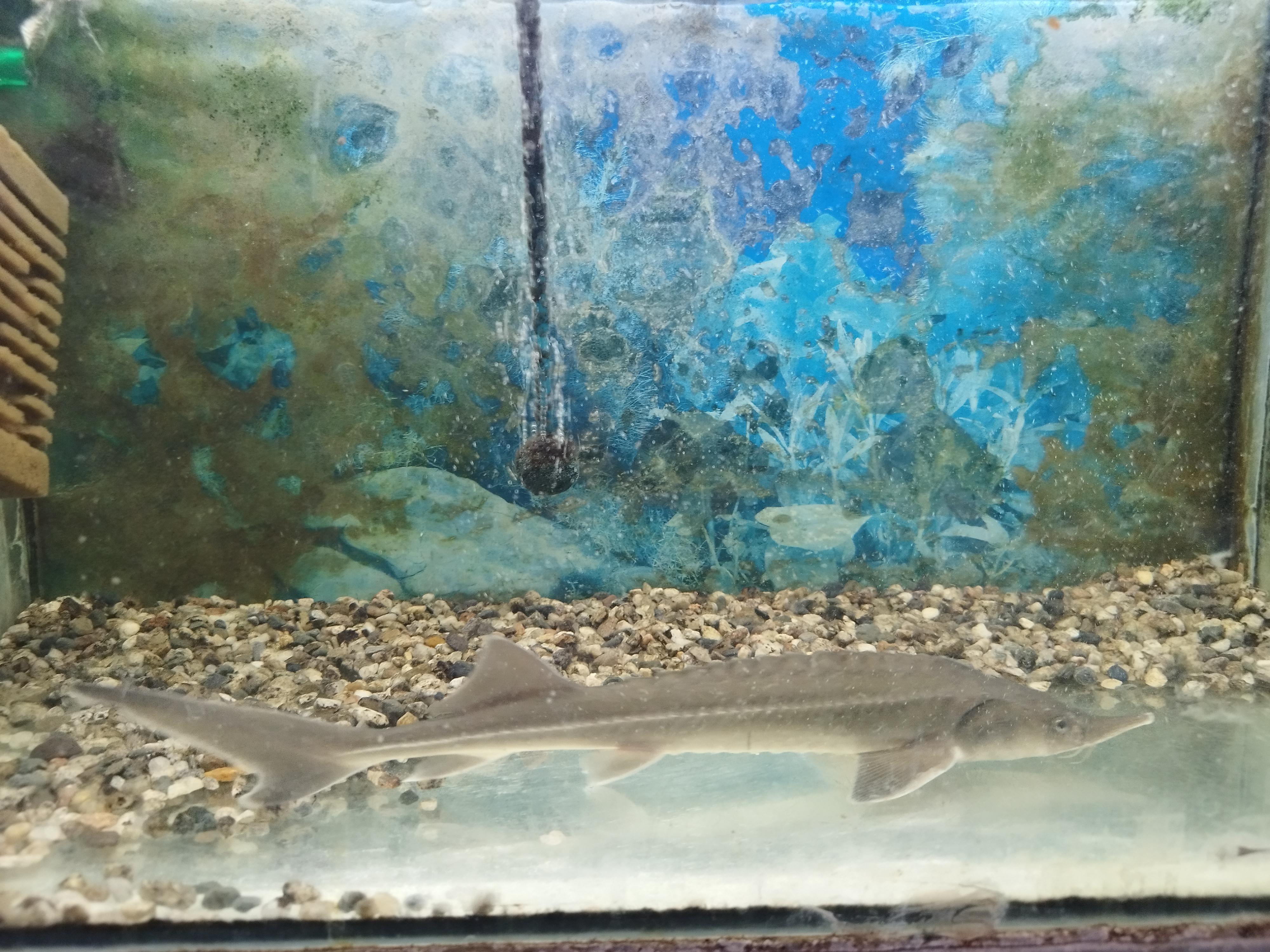 Akvarijní a chovatelské potřeby - Pavel Mach foto 6