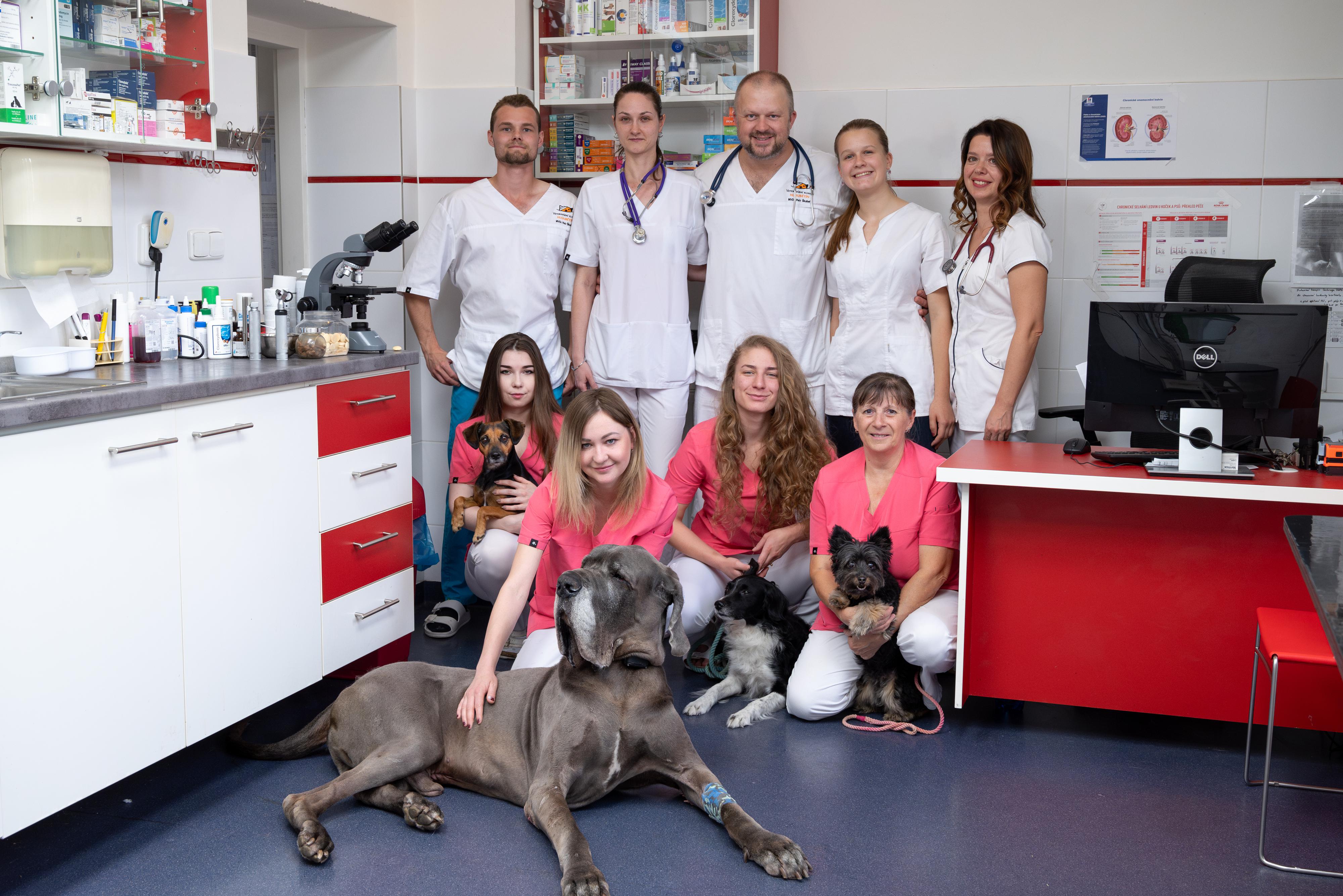 Veterinární klinika Hloubětín foto 4