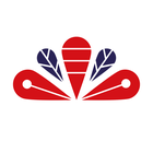 Včelařství Domovina Citron se spirulinou v medu Hmotnost: 400 g v obchodě Včelařství Domovina