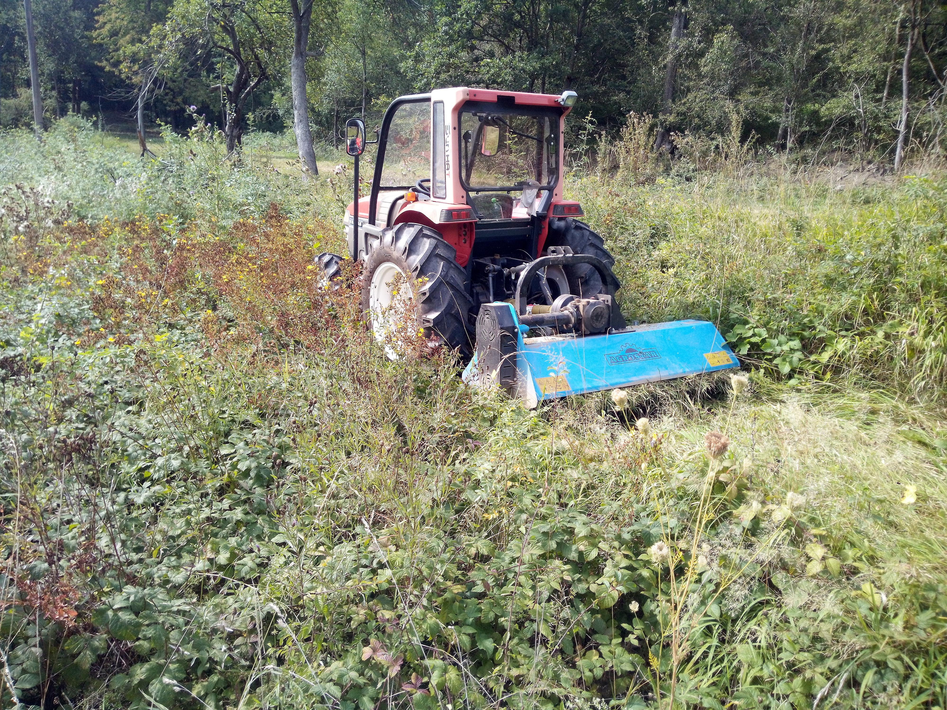 Údržba zeleně-Šemík-Service foto 4