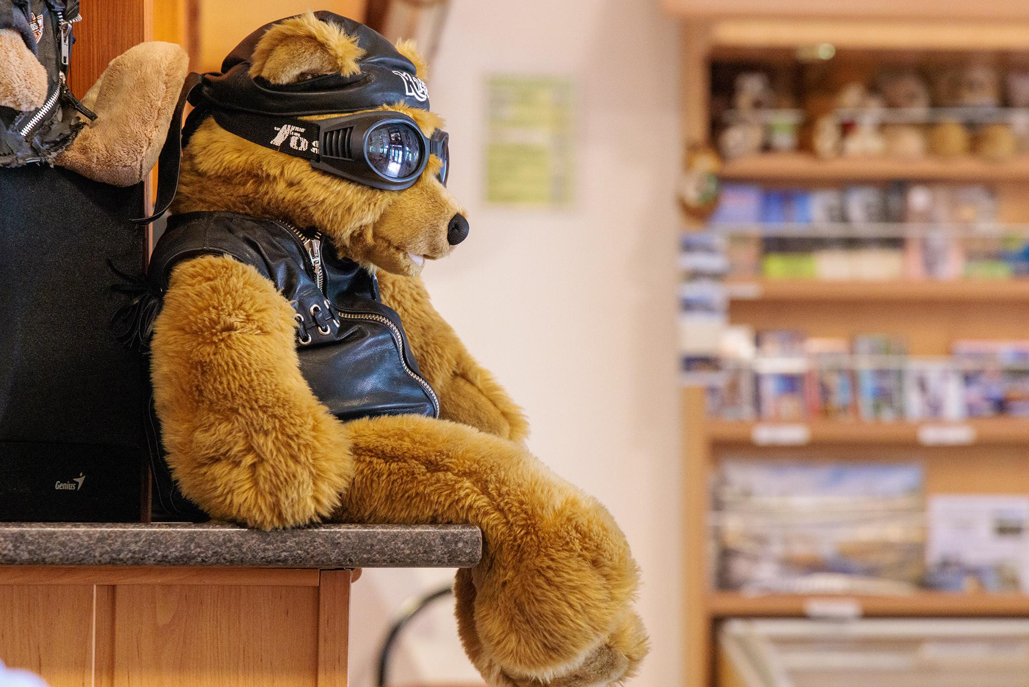 Penzion U Méďů foto 6