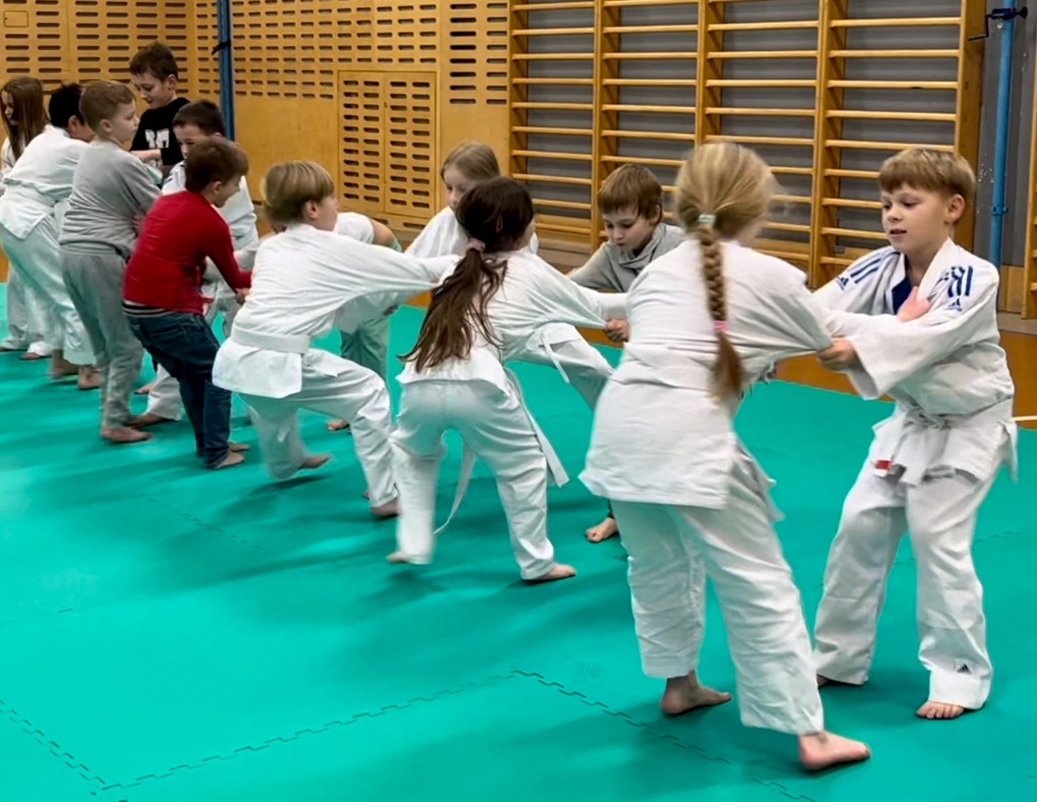 Judo Best Motion foto 2