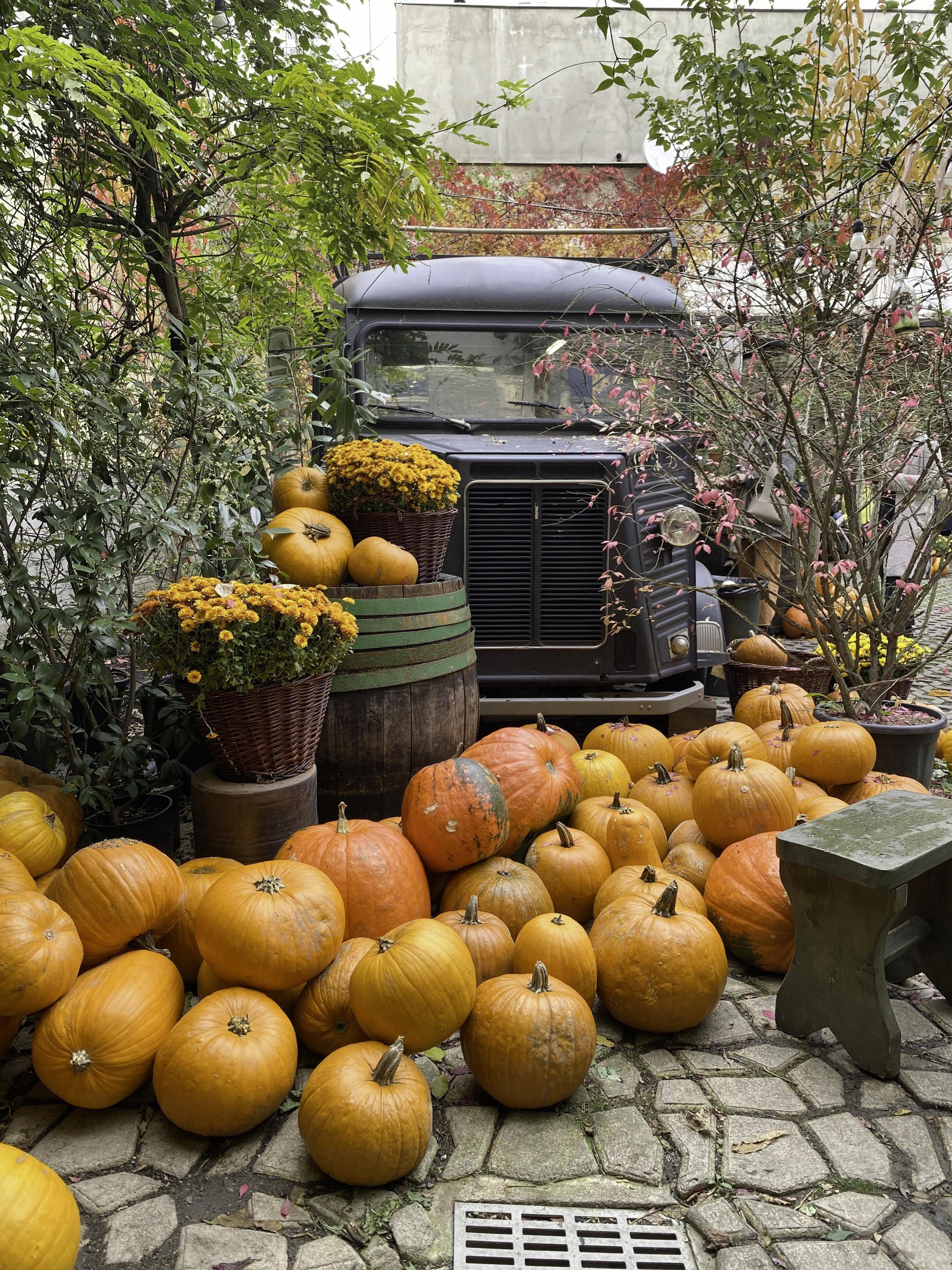 Botanica Coffee Truck foto 4