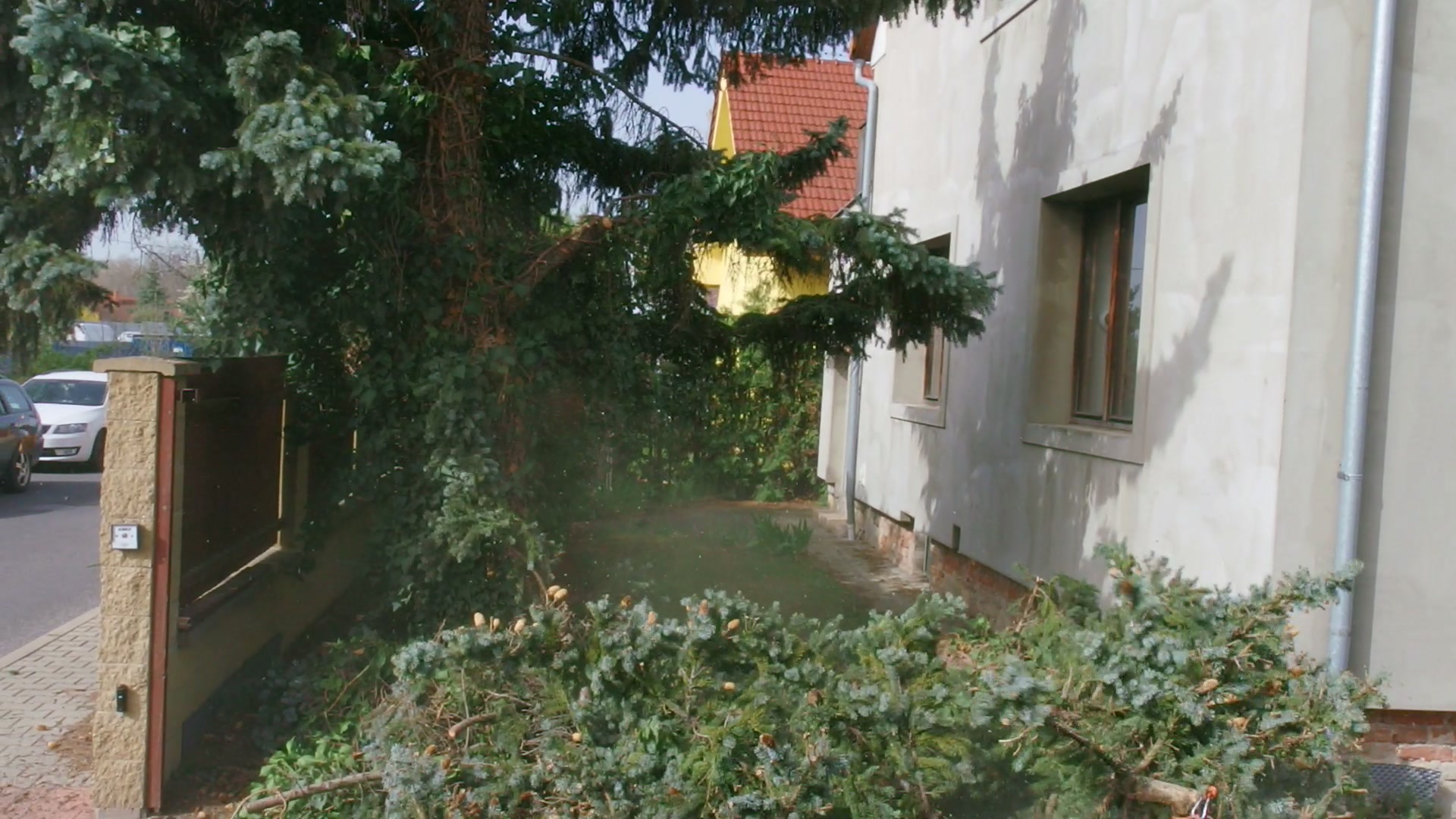 Kácení a prořez dřevin Jiří Anderle foto 2 (náhled videa)