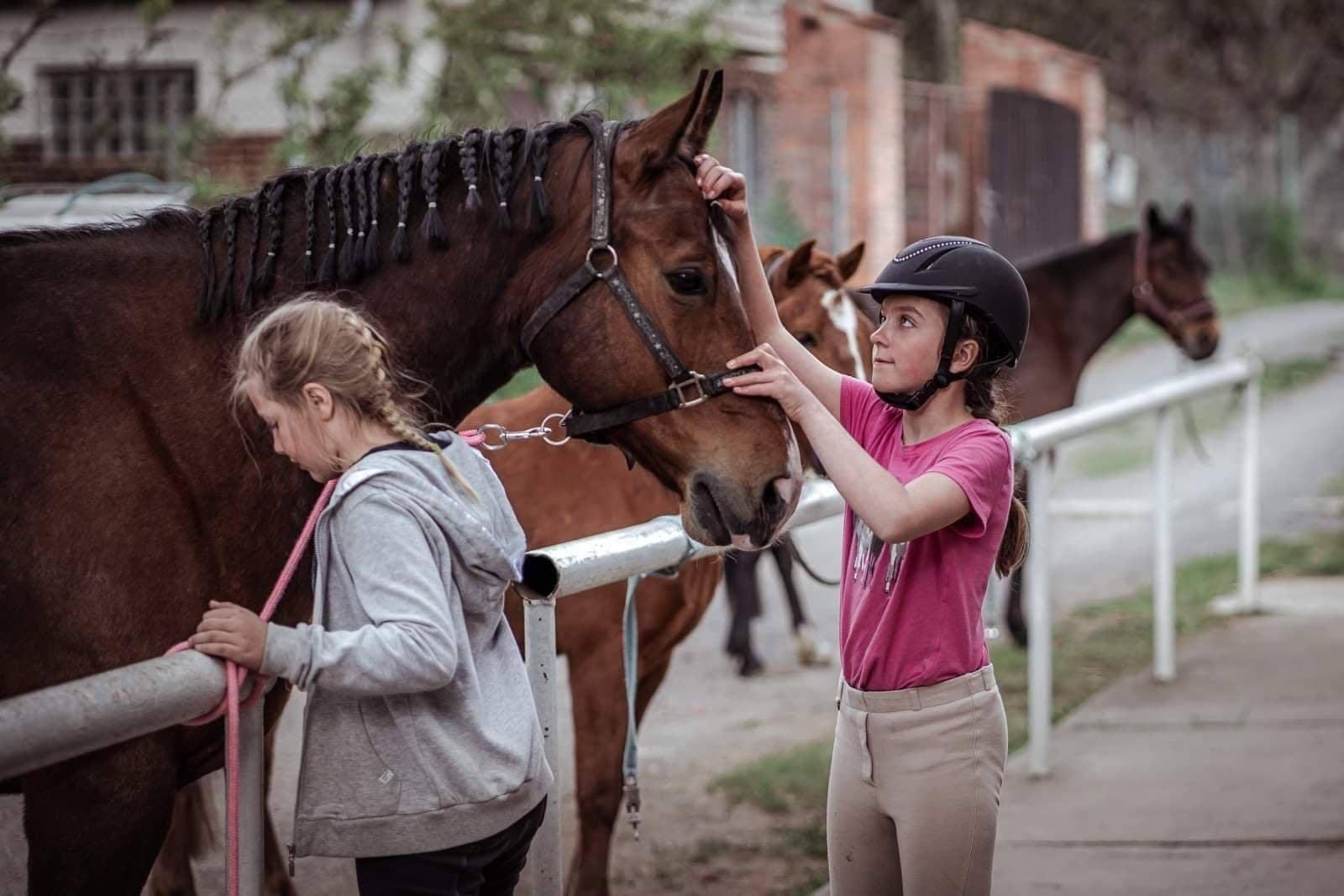 Jezdecká Škola Wild foto 2