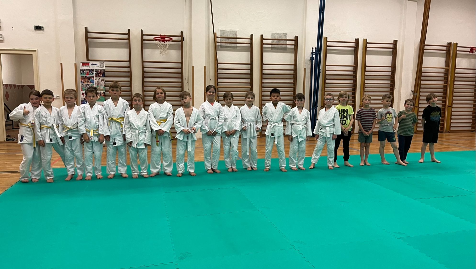 Judo Best Motion foto 3