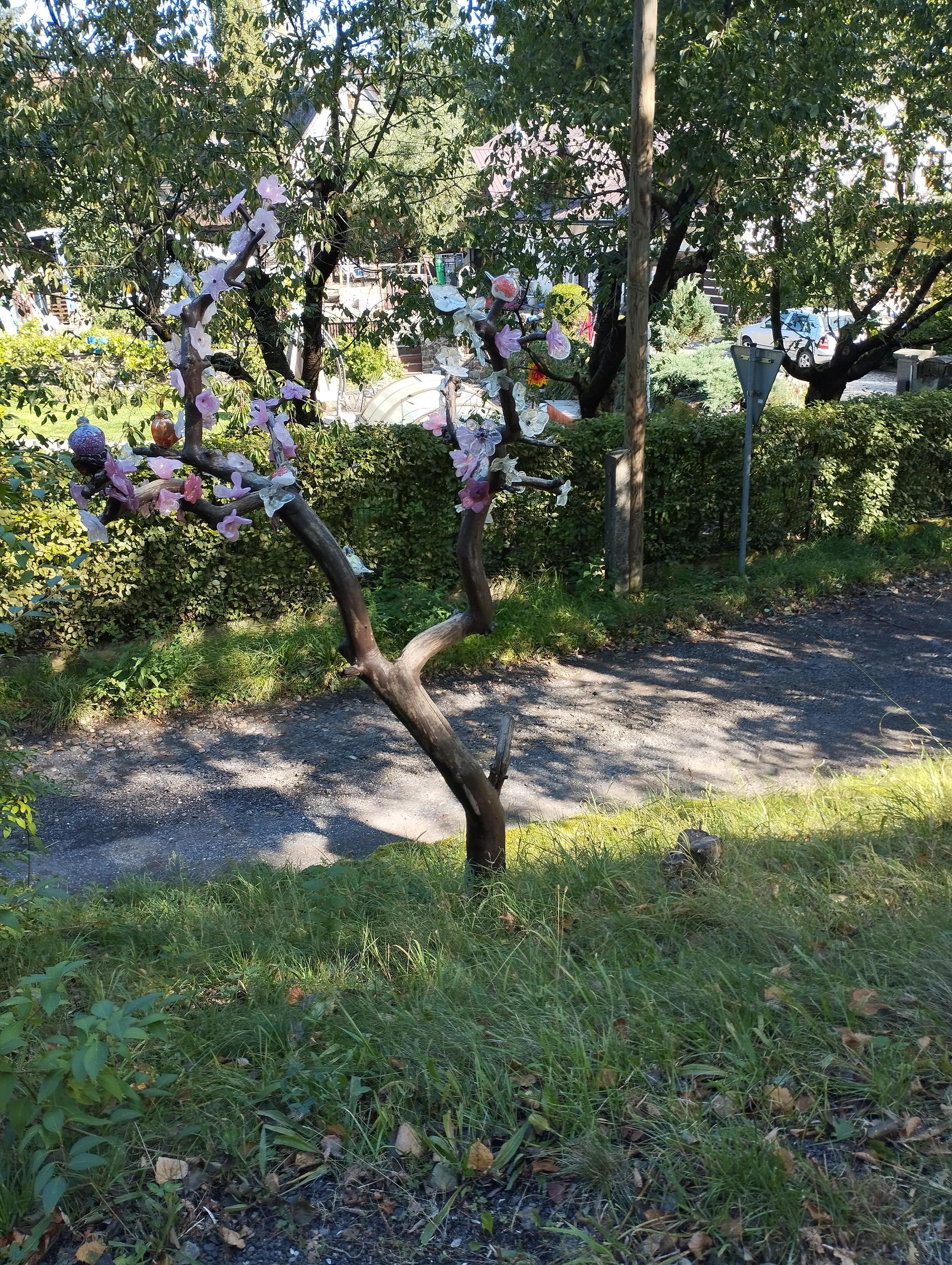 Sklárna Častolovice - Floriánova Huť foto 5