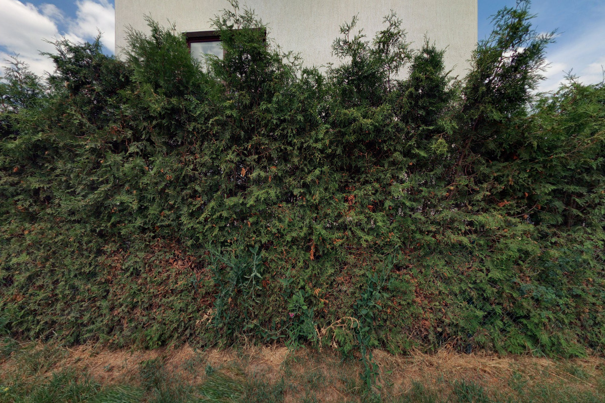 KVĚTINKA – CENTRUM