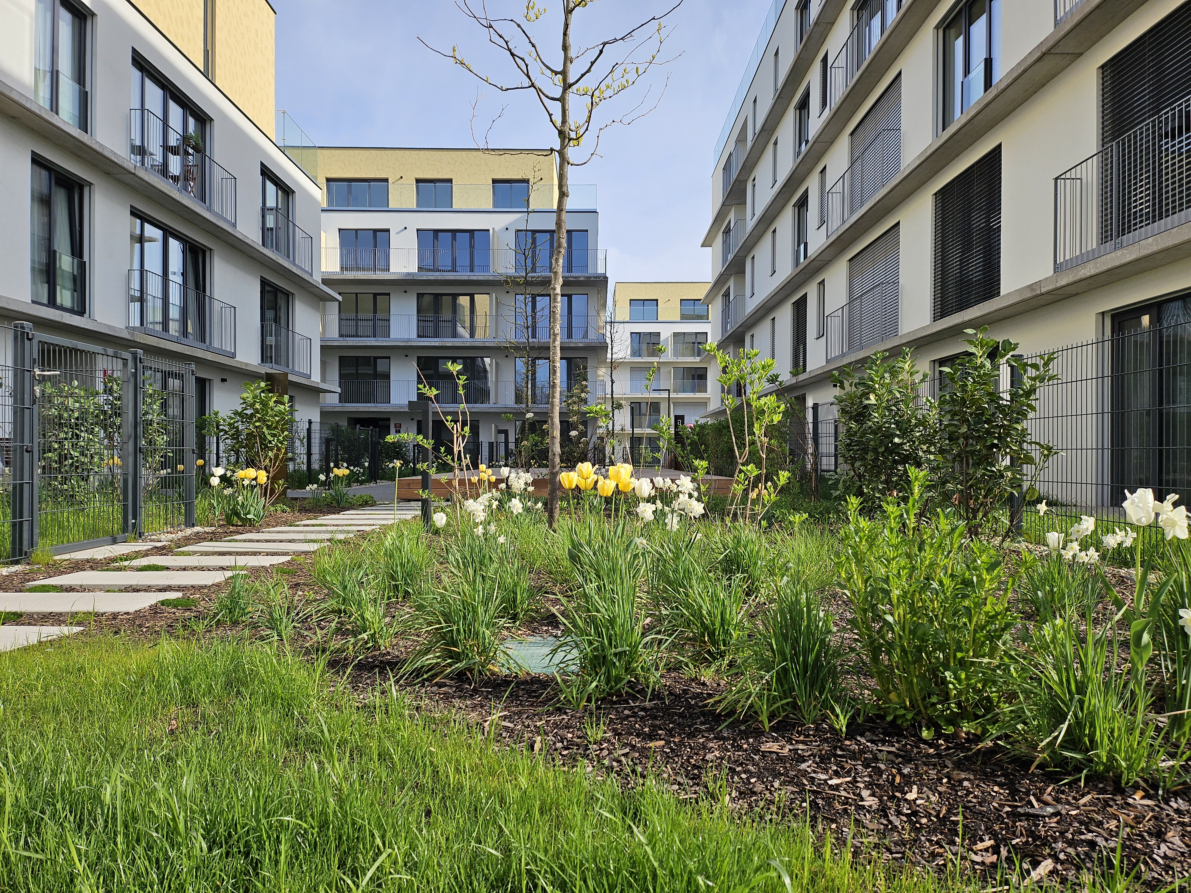 Vivus - Domy plné života foto 2