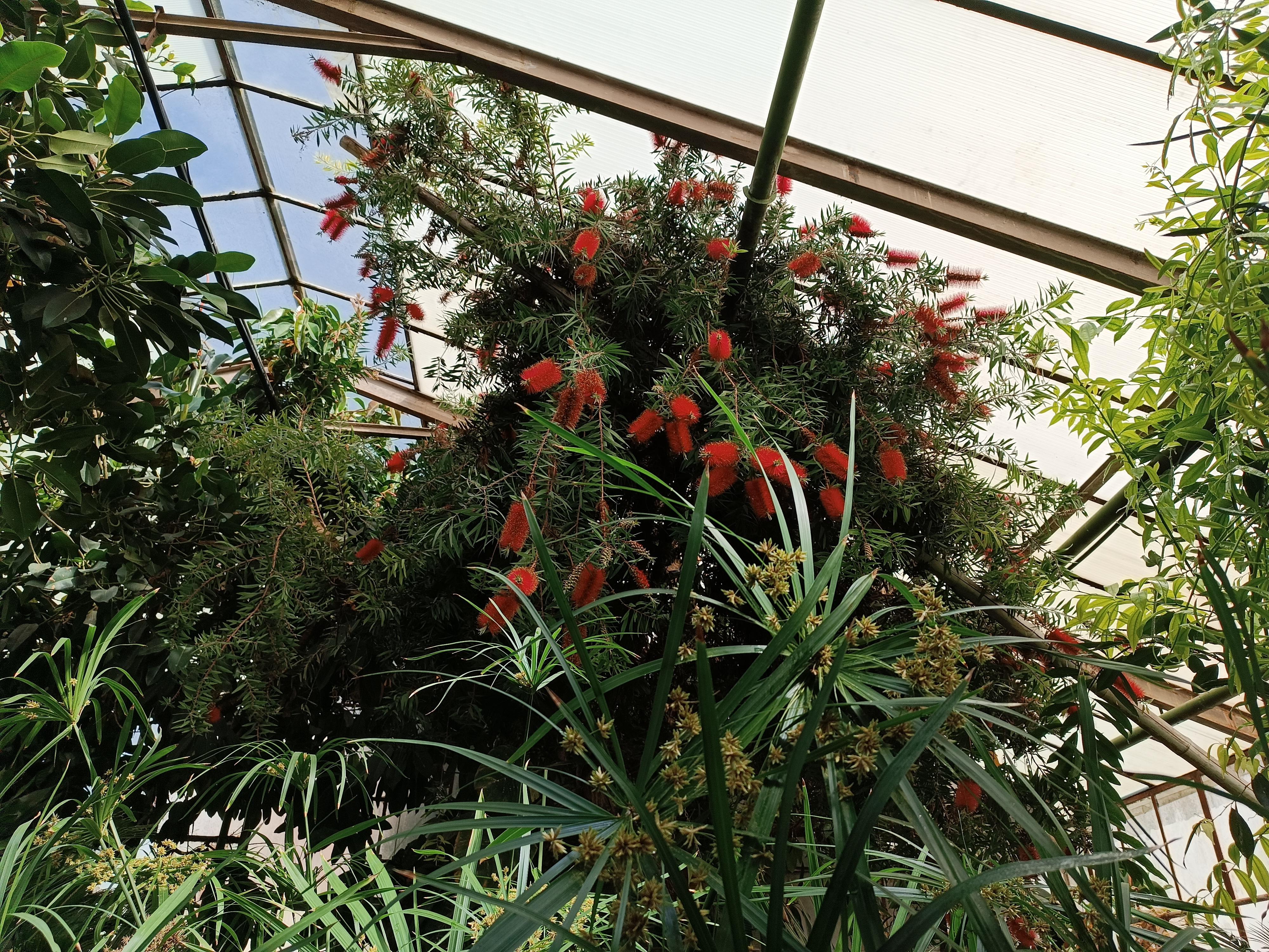 Zimní zahrada Nemocnice TGM Hodonín foto 3